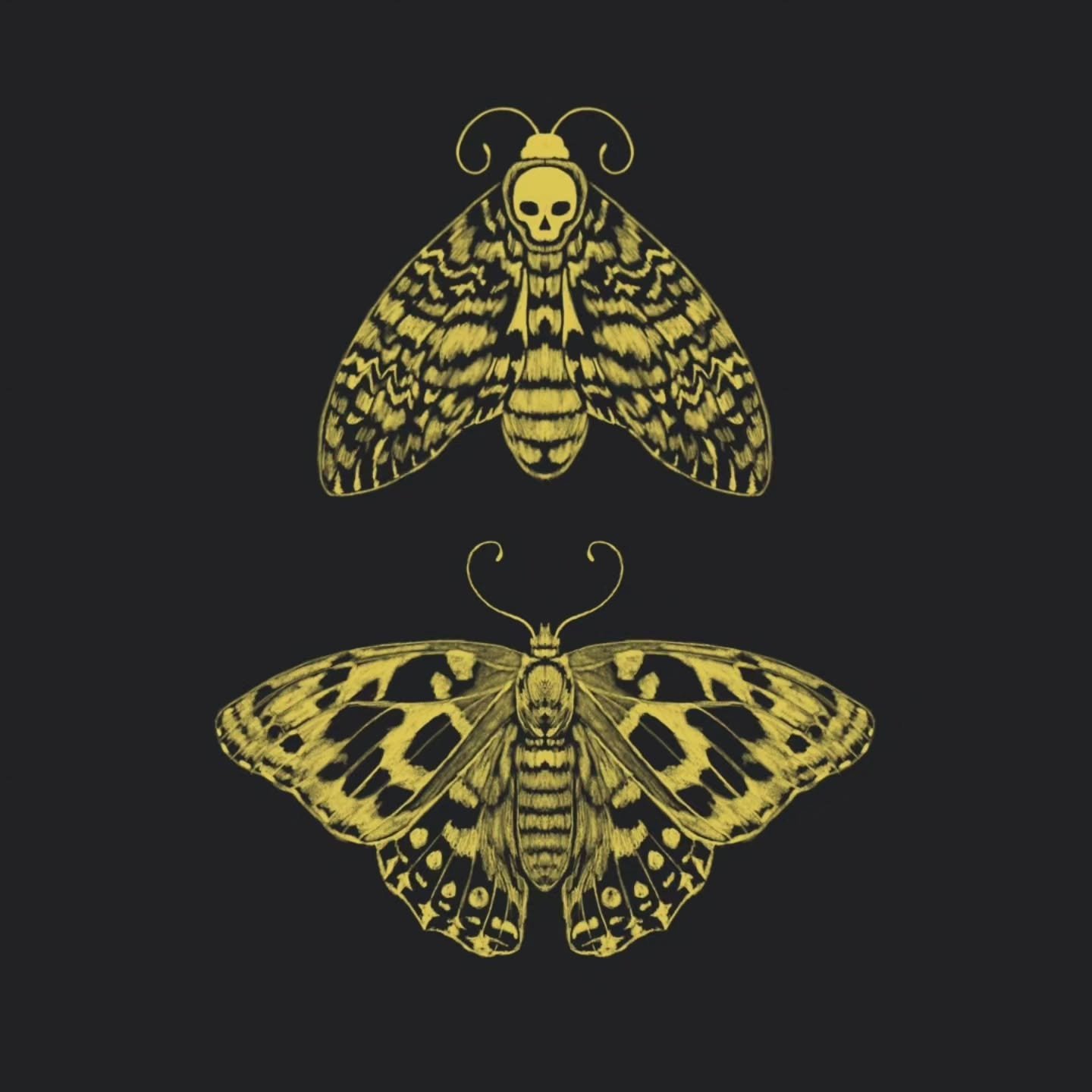 A Deathhead Hawkmoth and Painted Lady Butterfly illustration for last week&rsquo;s Golden Thread Challenge by @jehane_ltd inspired by the Butterflies and Moth Book.

After falling down the Pinterest rabbit hole of vintage book covers, I tried to recr