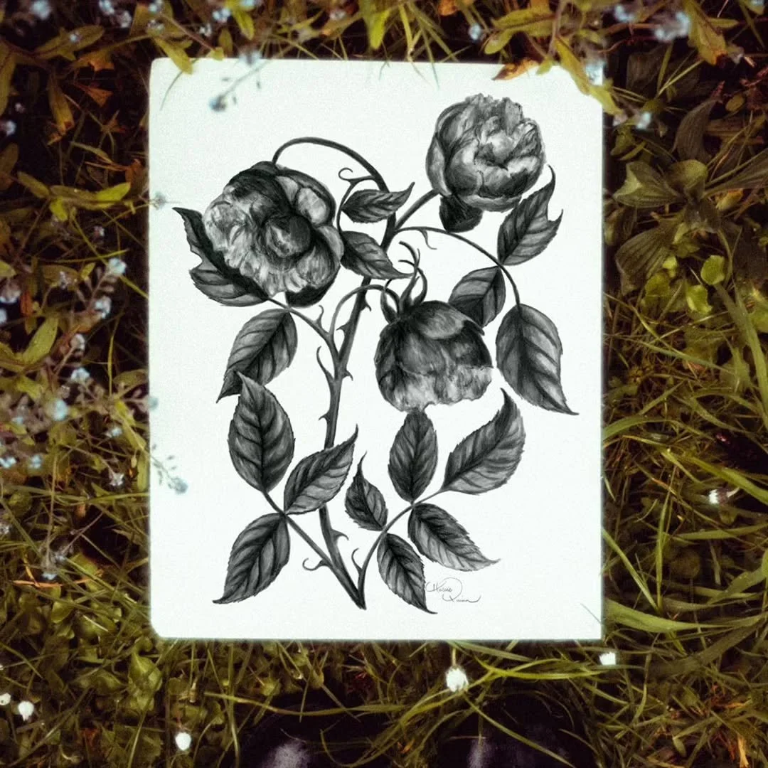 Here&rsquo;s the finished Rose drawing, a homage to the late William Morris🌹

I&rsquo;m currently working on transforming this into a pattern for wallpaper, which is very exciting. Stay tuned for tomorrow when I&rsquo;ll share the finished colourway