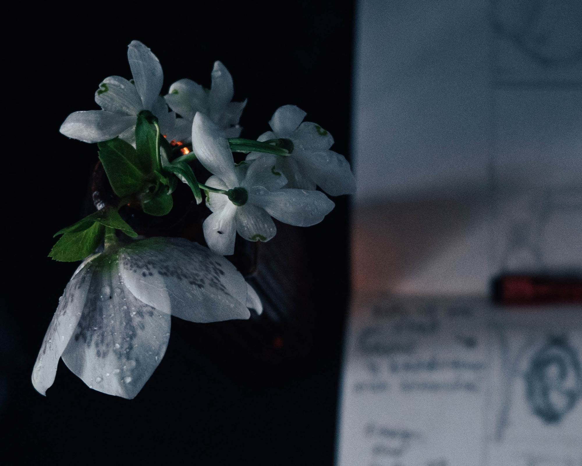 BTS Series: The Website Redesign