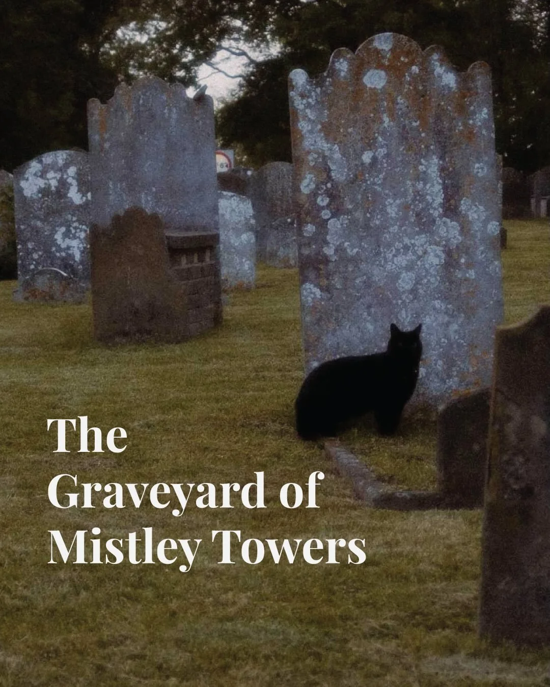 The graveyard series has made its comeback! This idea has been living rent free in my mind for the past few years, and I originally started it a few years ago but then self doubt got in the way and I didn&rsquo;t continue it. But I&rsquo;m bringing i