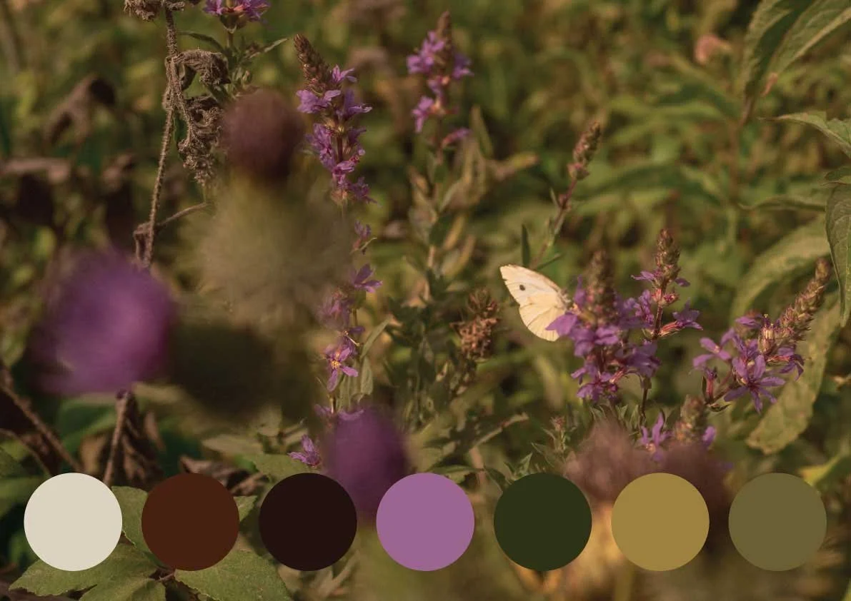 A colour palette inspired by the English countryside, featuring earthy browns, soft greens and faded purple, taken from the wildflowers from the riverbank.