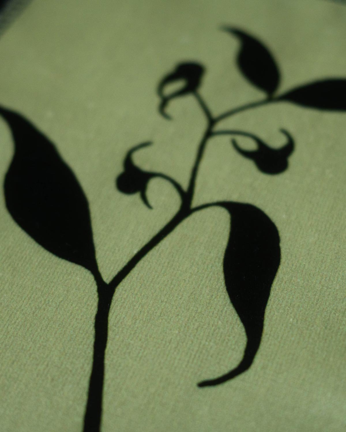Nightshade_2_Velvetartprint_HollieQuinn_.jpg