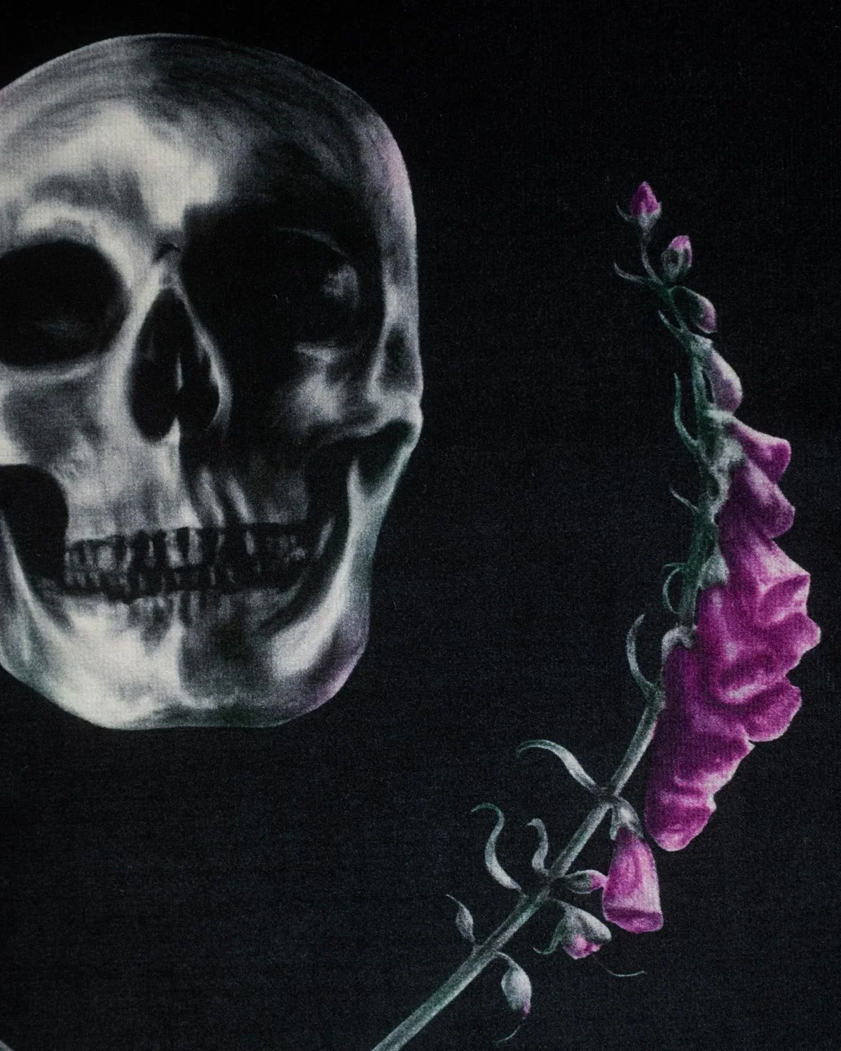 Skull_Velvetartprint_HollieQuinn_3.jpg