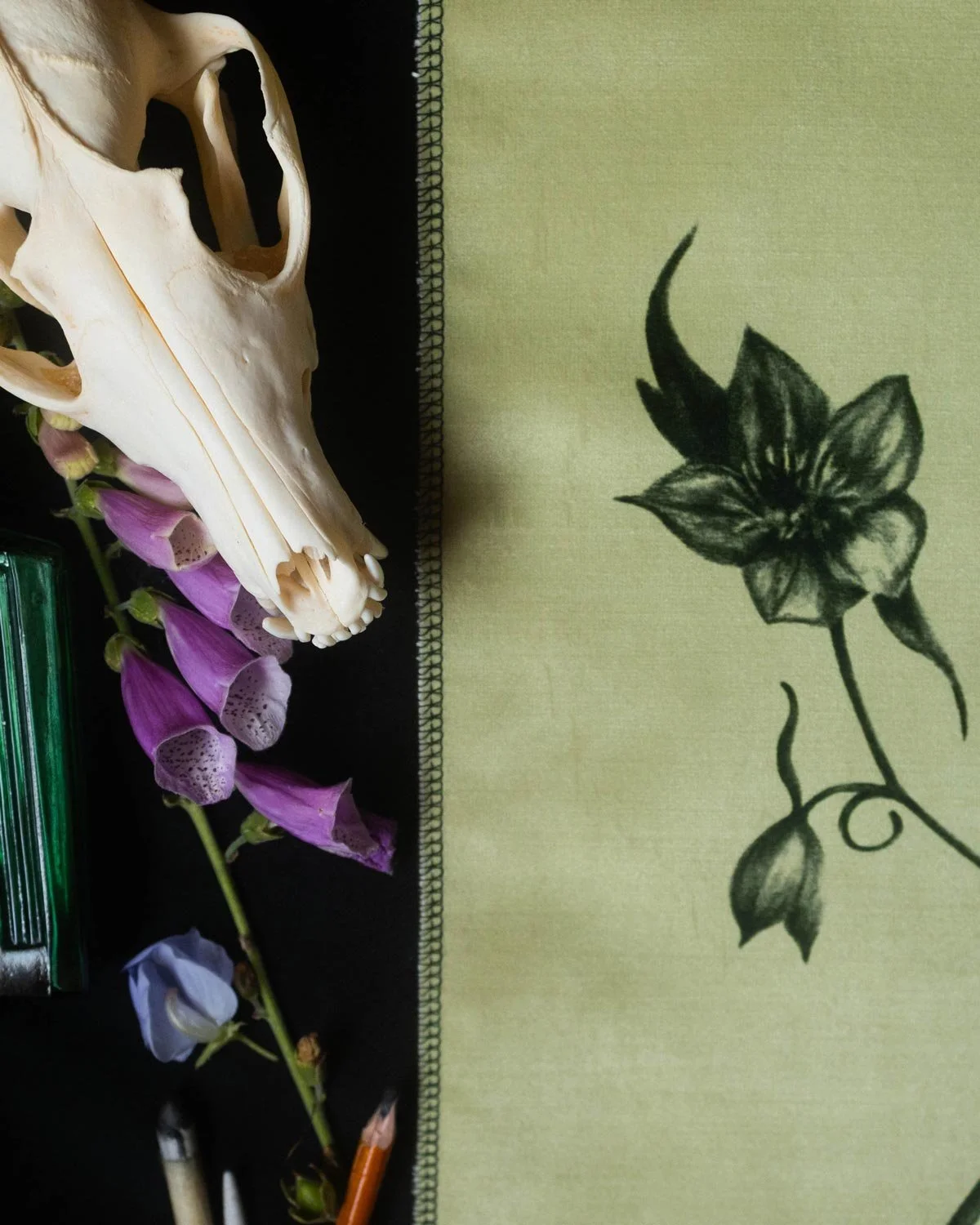 Hellebore_velvetartprint_HollieQuinn_3.jpg