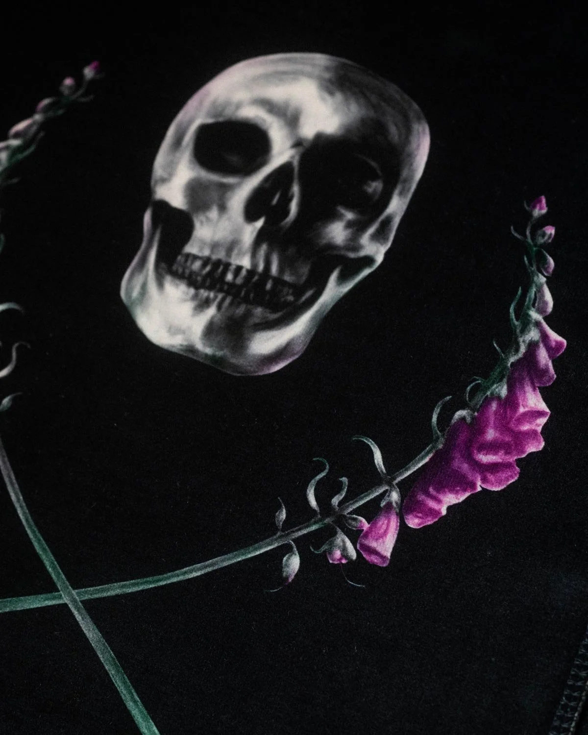 Skull_Velvetartprint_HollieQuinn_4.jpg