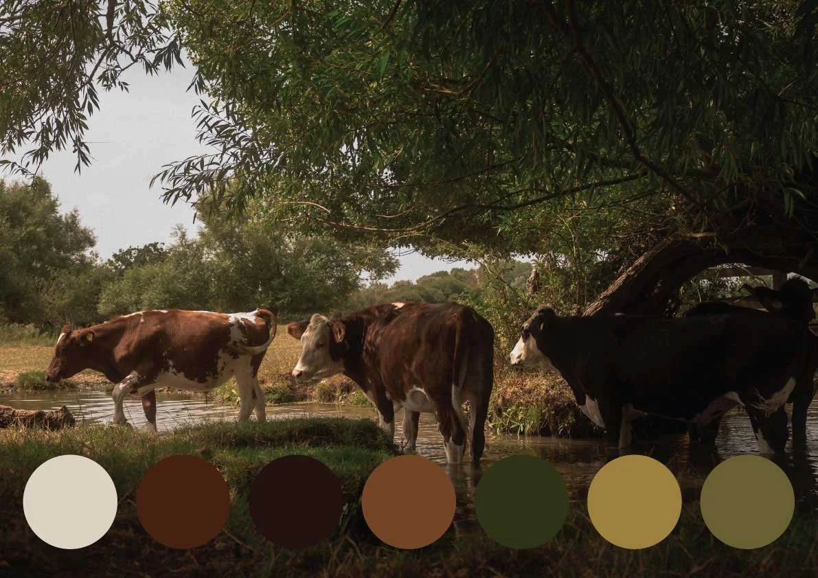 A colour palette inspired by the English countryside, featuring soft greens and earthy browns taken from the river landscape, inspired by John Constable's paintings.