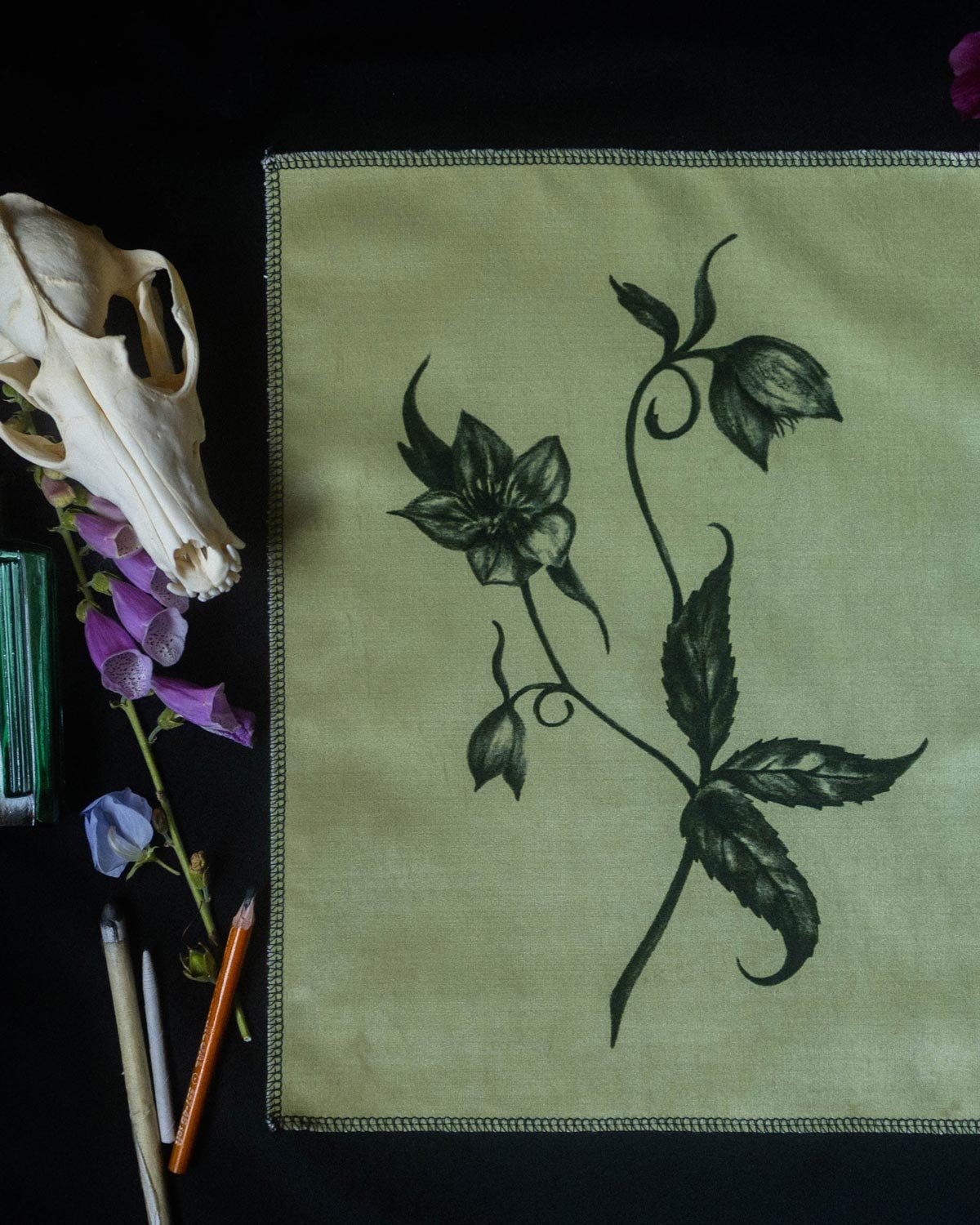 Hellebore_velvetartprint_HollieQuinn_2.jpg