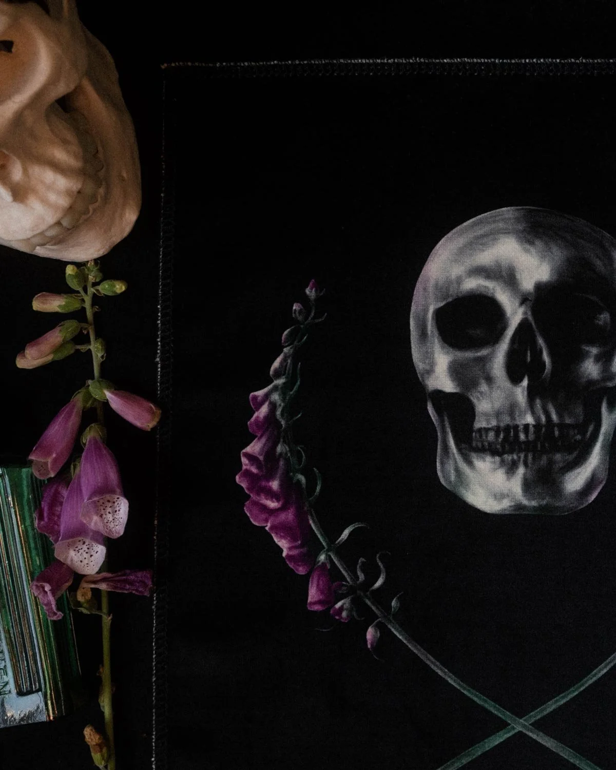 Skull_Velvetartprint_HollieQuinn_1.jpg