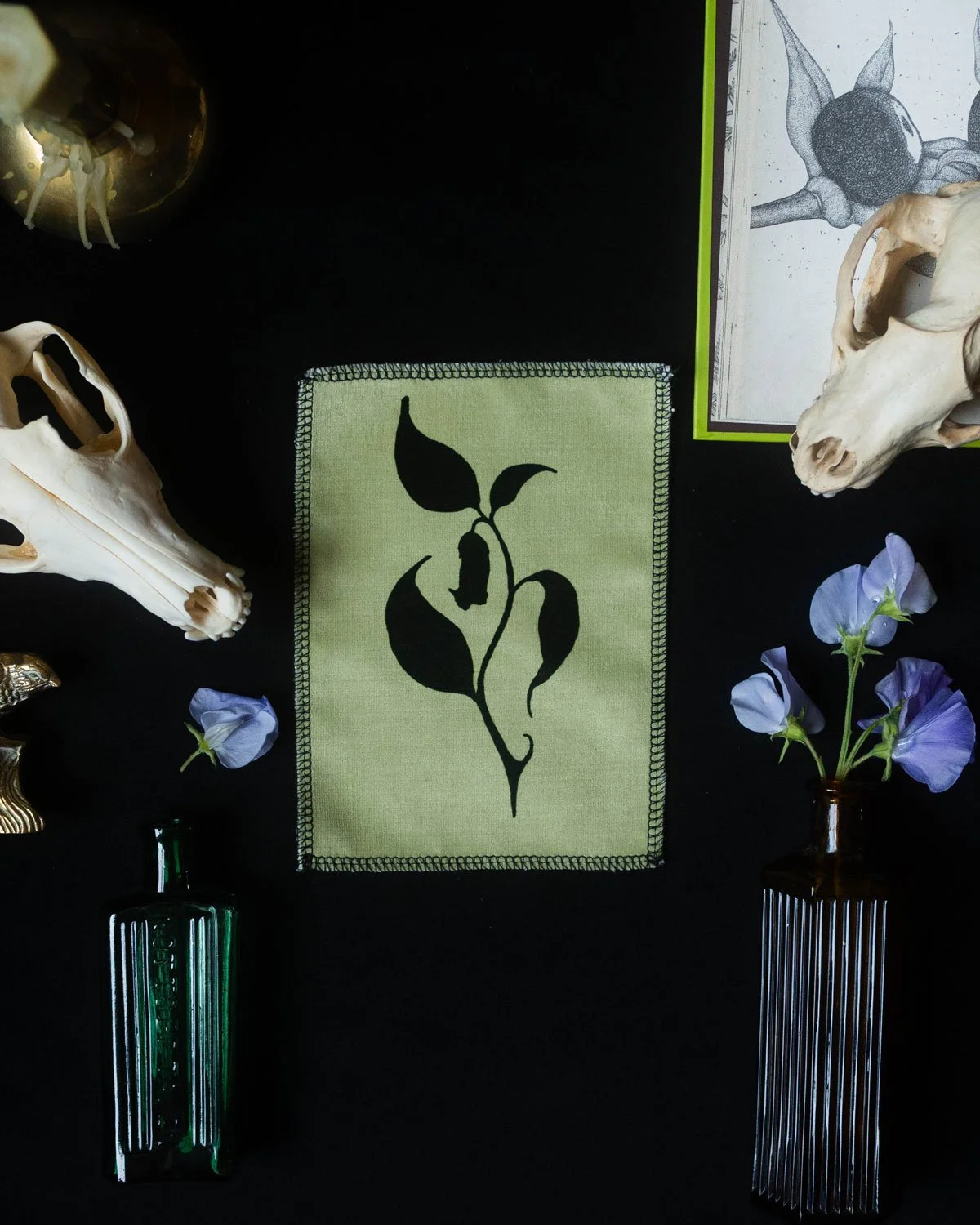 Nightshade_1_Velvetartprint_HollieQuinn_3.jpg
