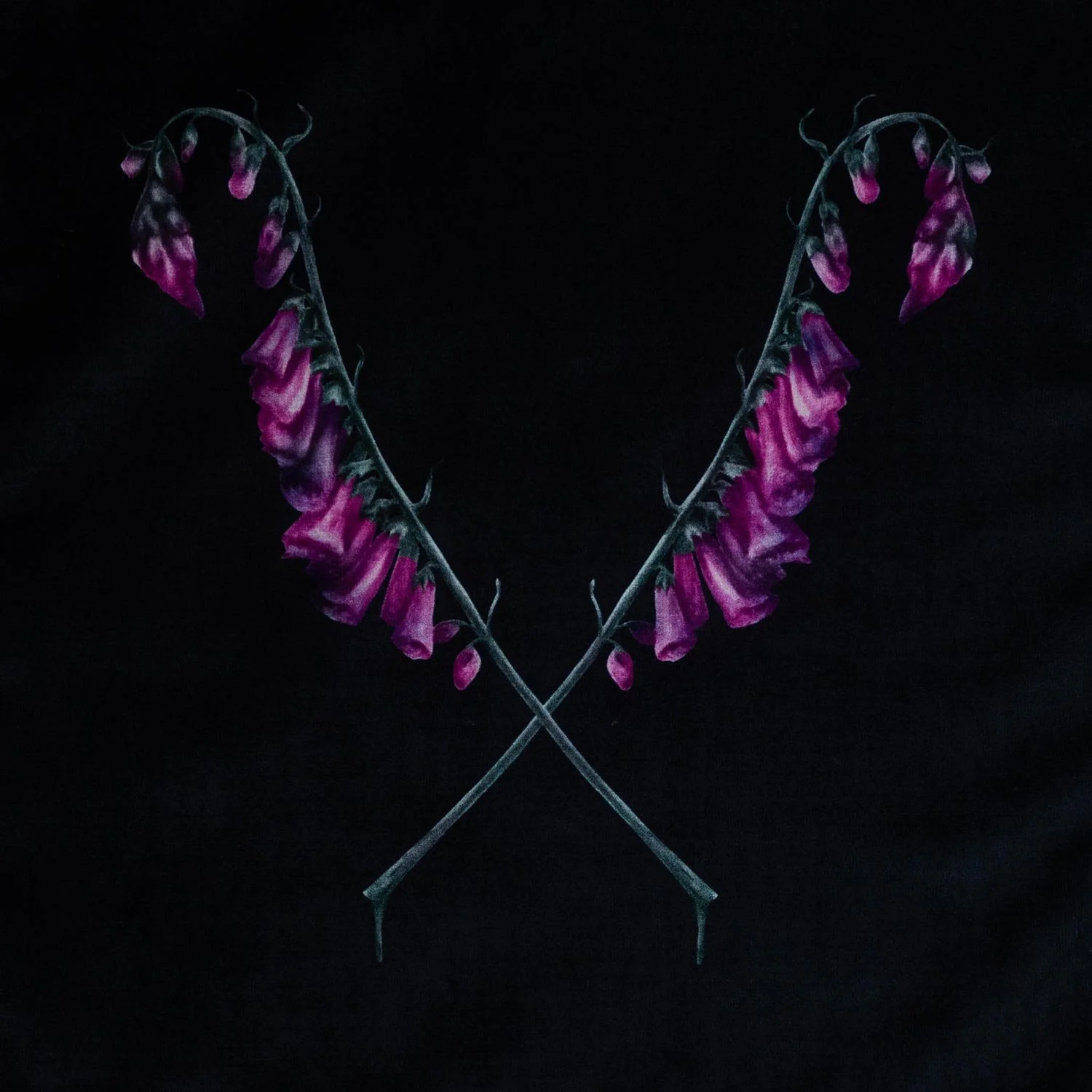 "Foxgloves" A Velvet Art Print