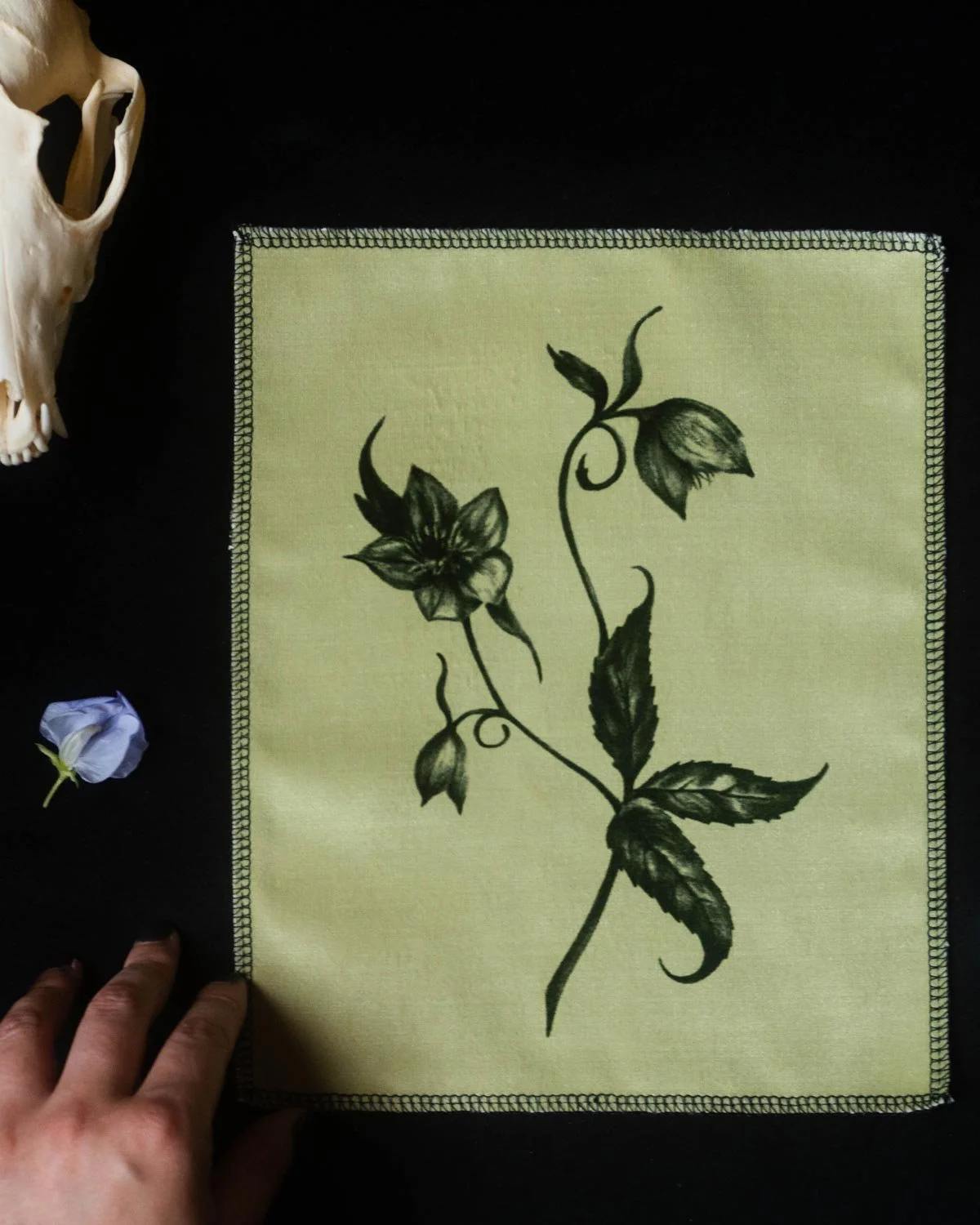 Hellebore_velvetartprint_HollieQuinn_4.jpg