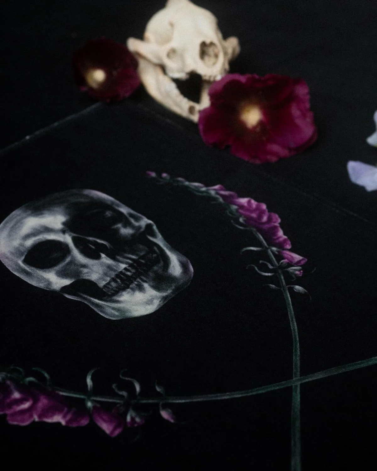 Skull_Velvetartprint_HollieQuinn_7.jpg
