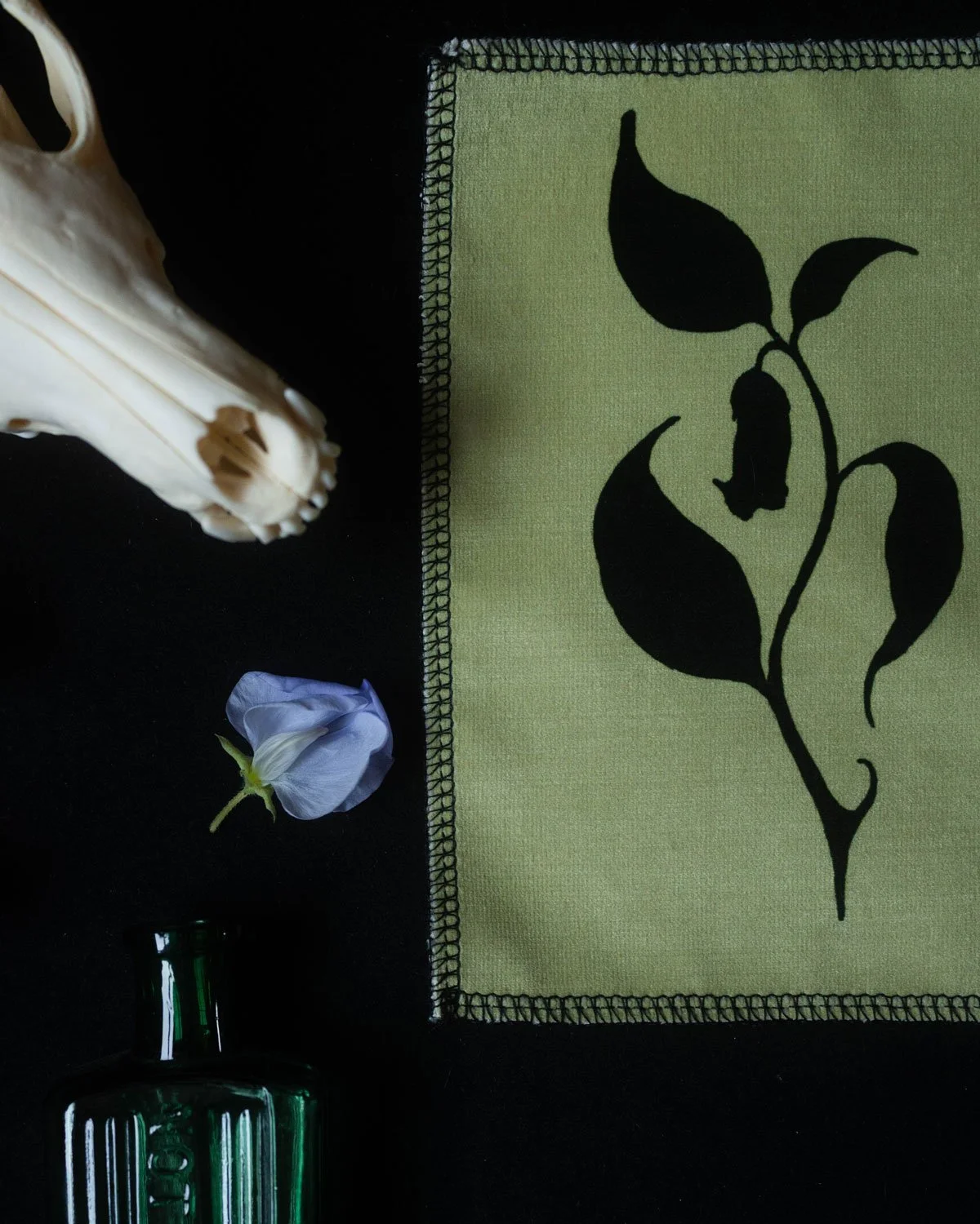 Nightshade_1_Velvetartprint_HollieQuinn_2.jpg