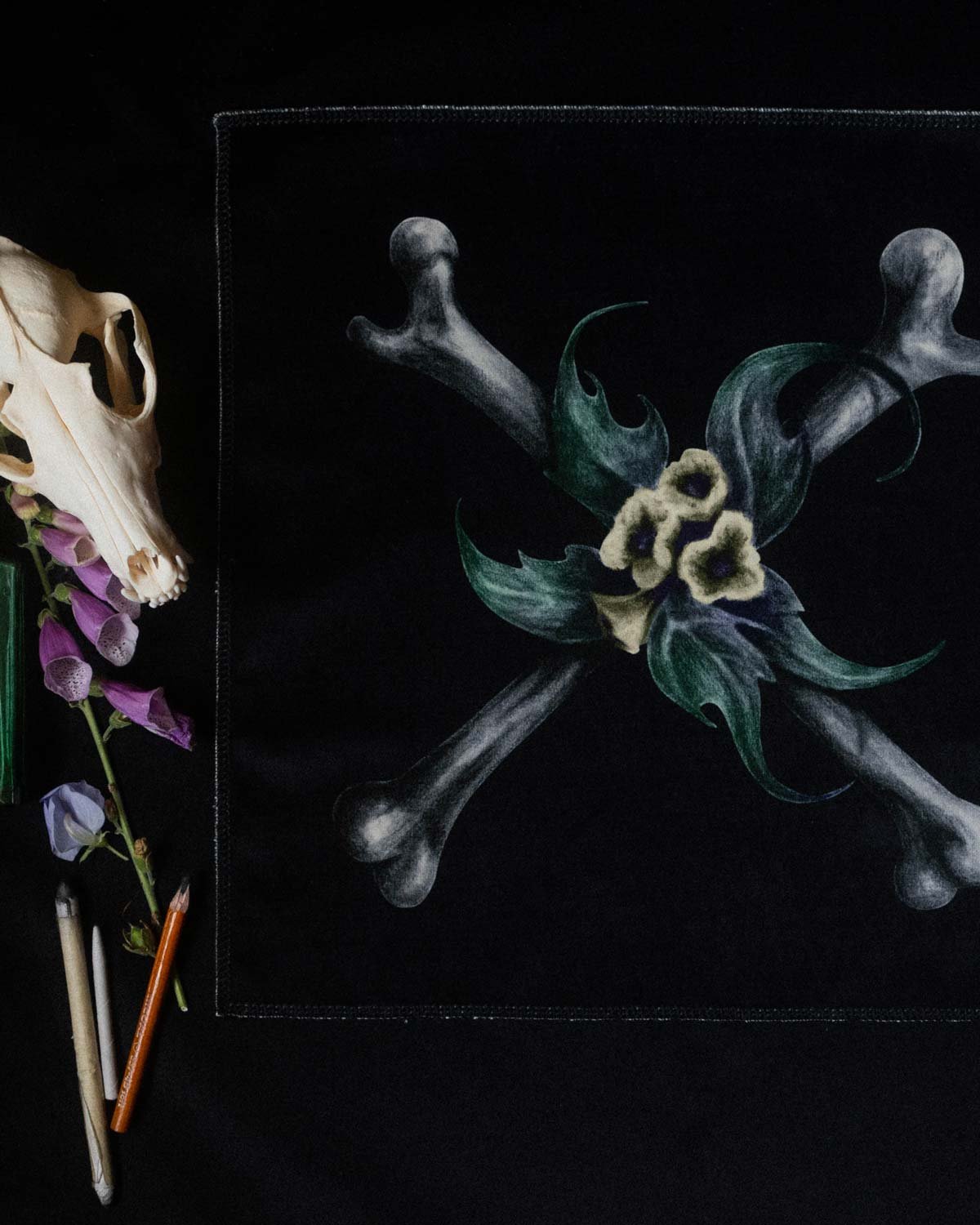 Crossbones_Velvetartprint_HollieQuinn_4.jpg