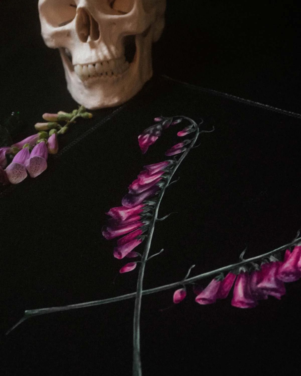 Foxgloves_velvetartprint_HollieQuinn_4.jpg
