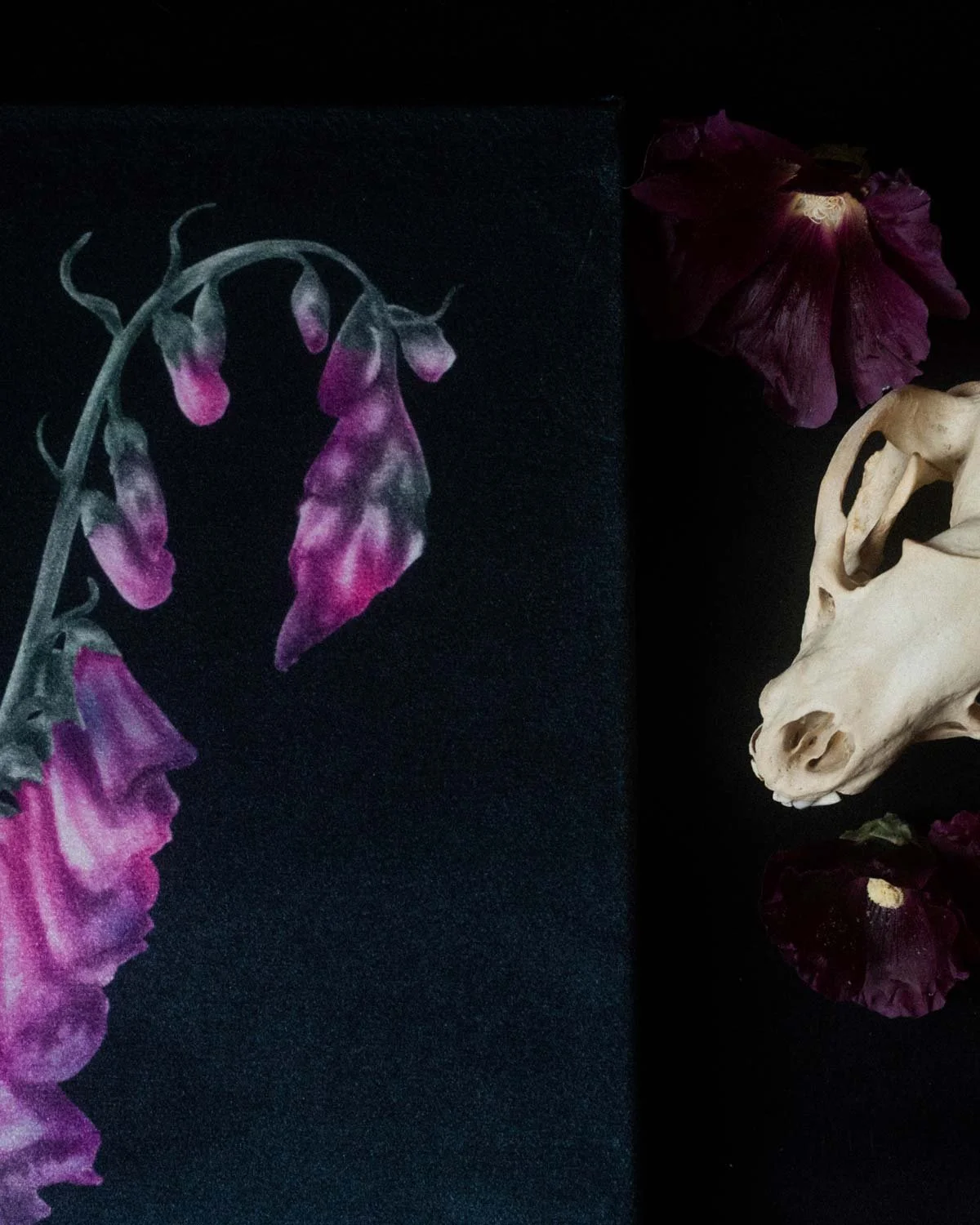 Foxgloves_VelvetWallhanging_HollieQuinn_3.jpg