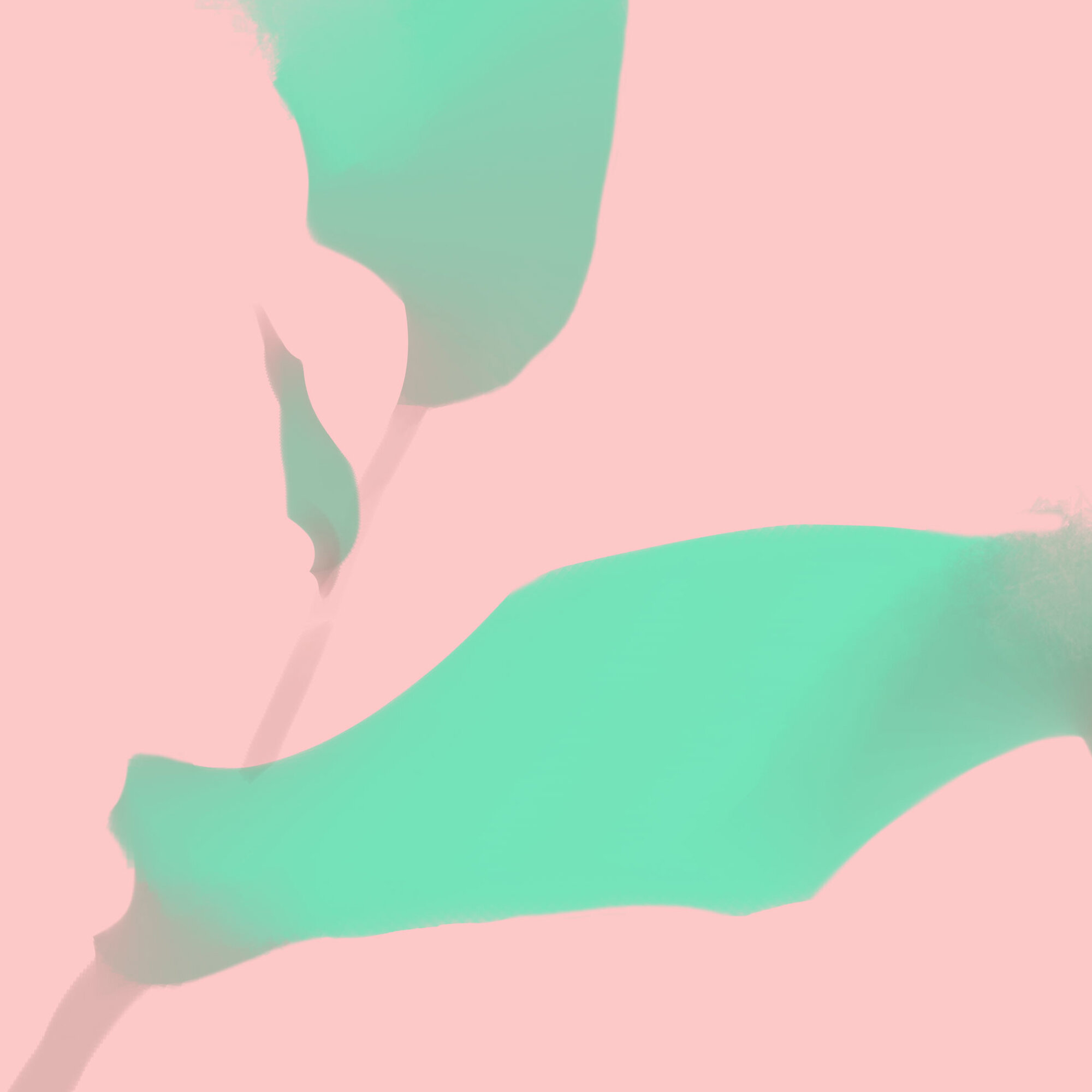 cropped_p_5.jpg