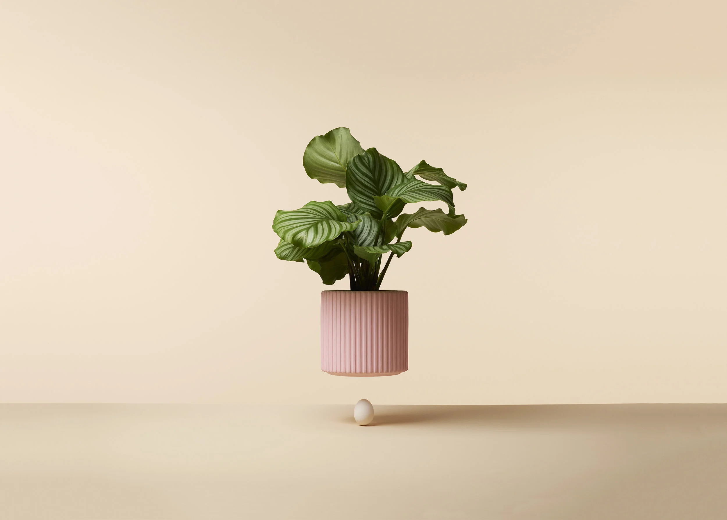 07_LevitatingObjects-051-small-v2.jpg