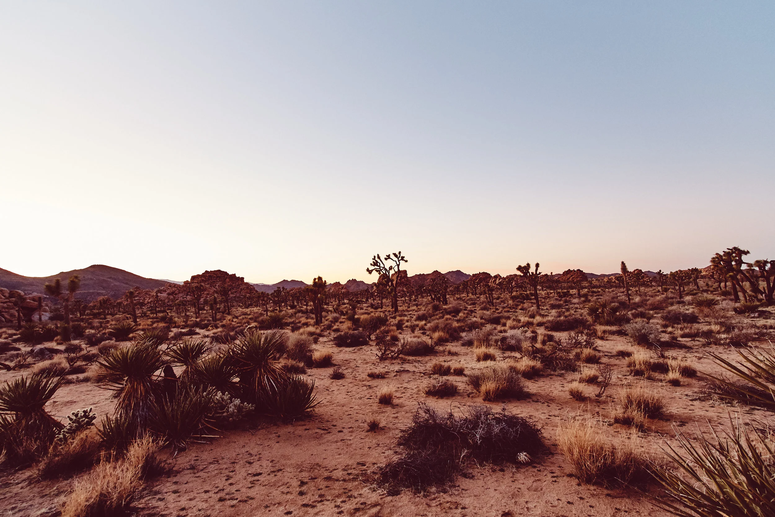 Arizona