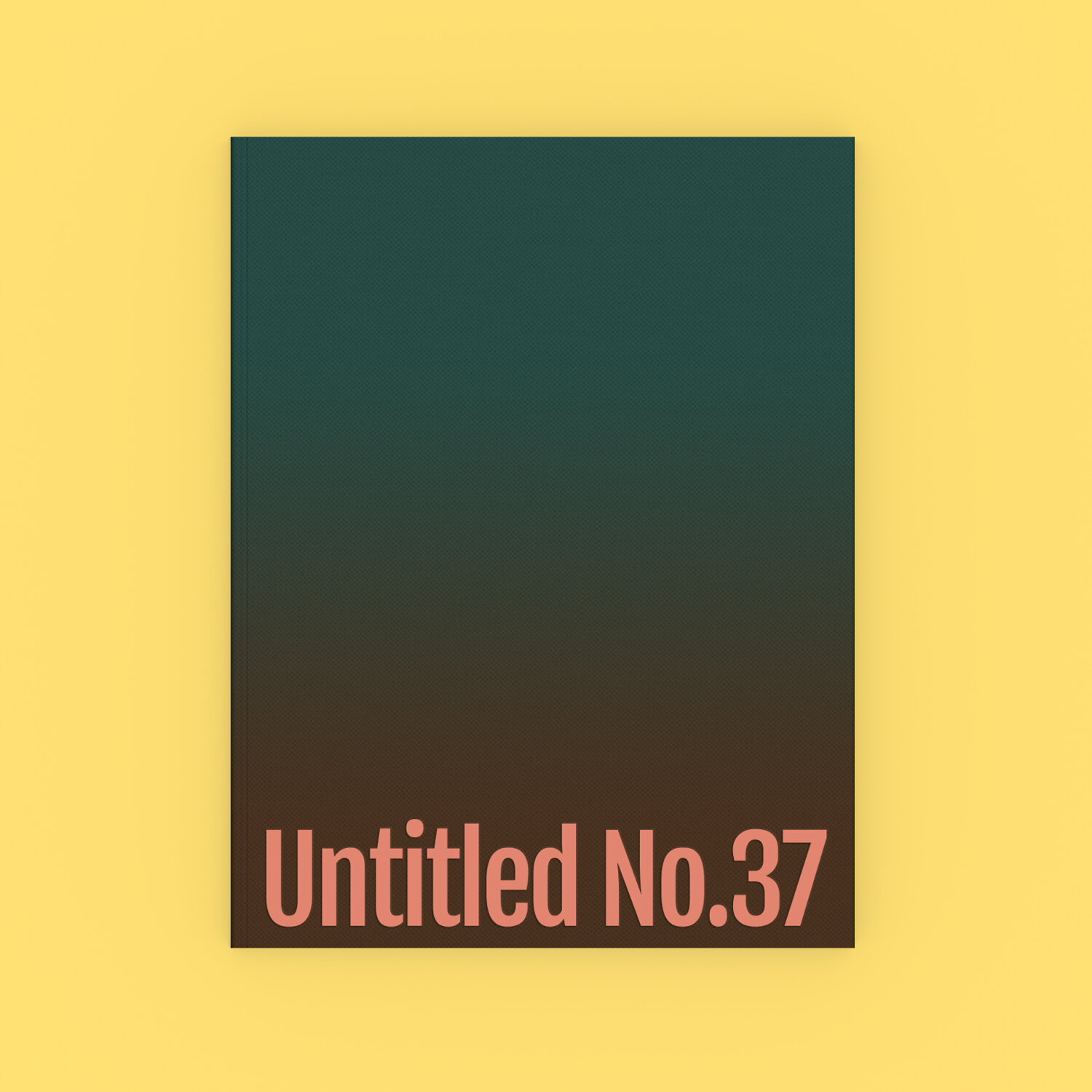 Untitled n.° 37