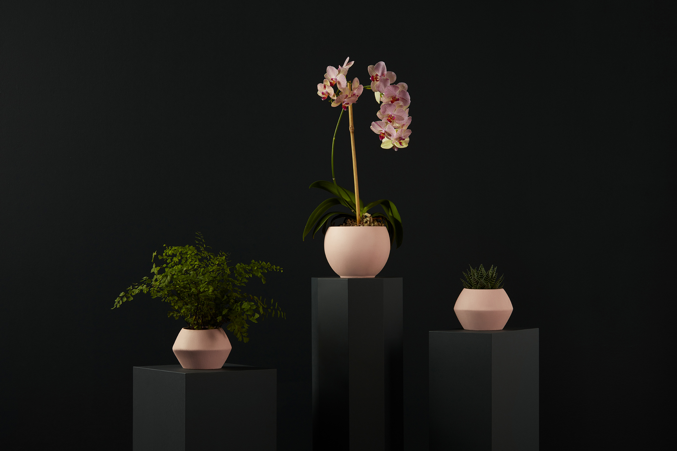 Header_04_008-copy.jpg