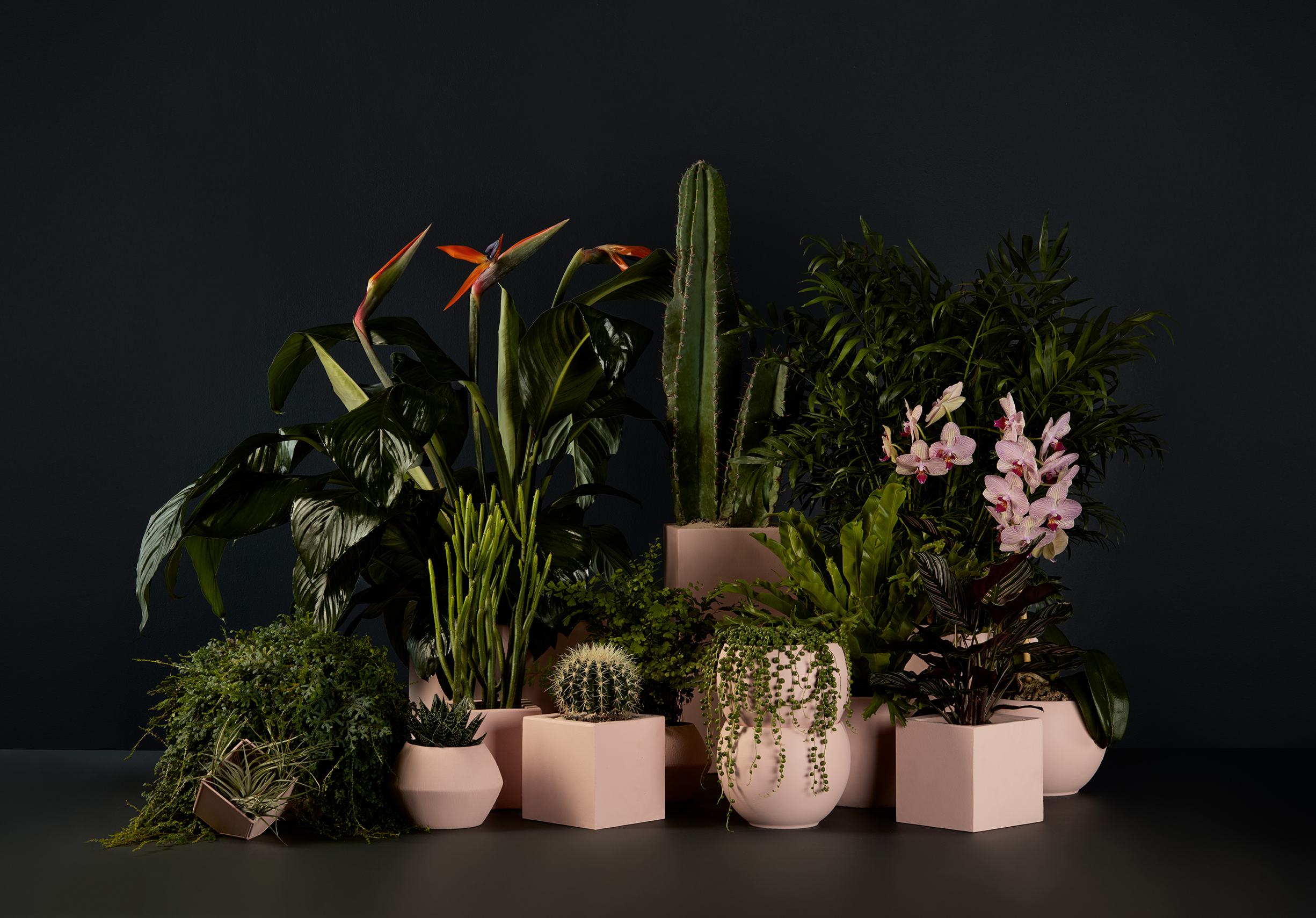 Header_01_033_v2.jpg