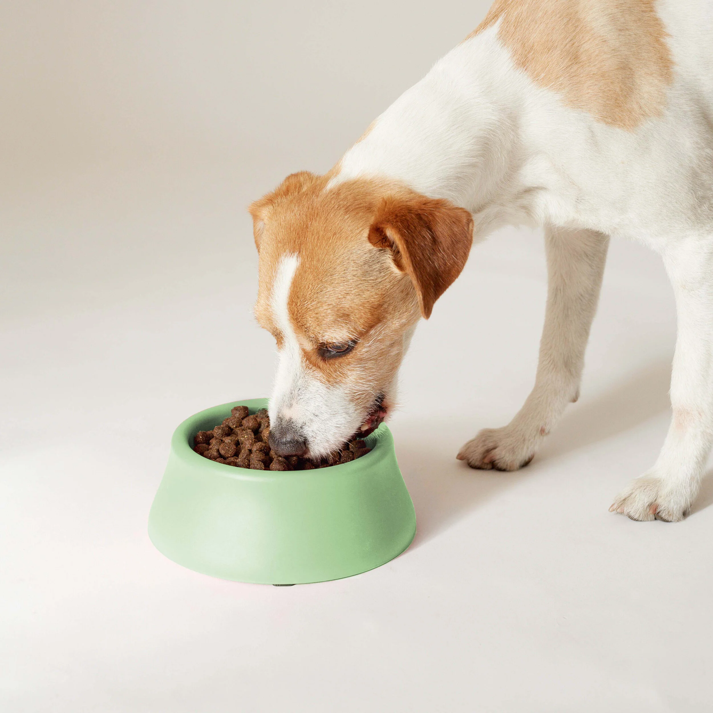 bowl-1 copy.jpg