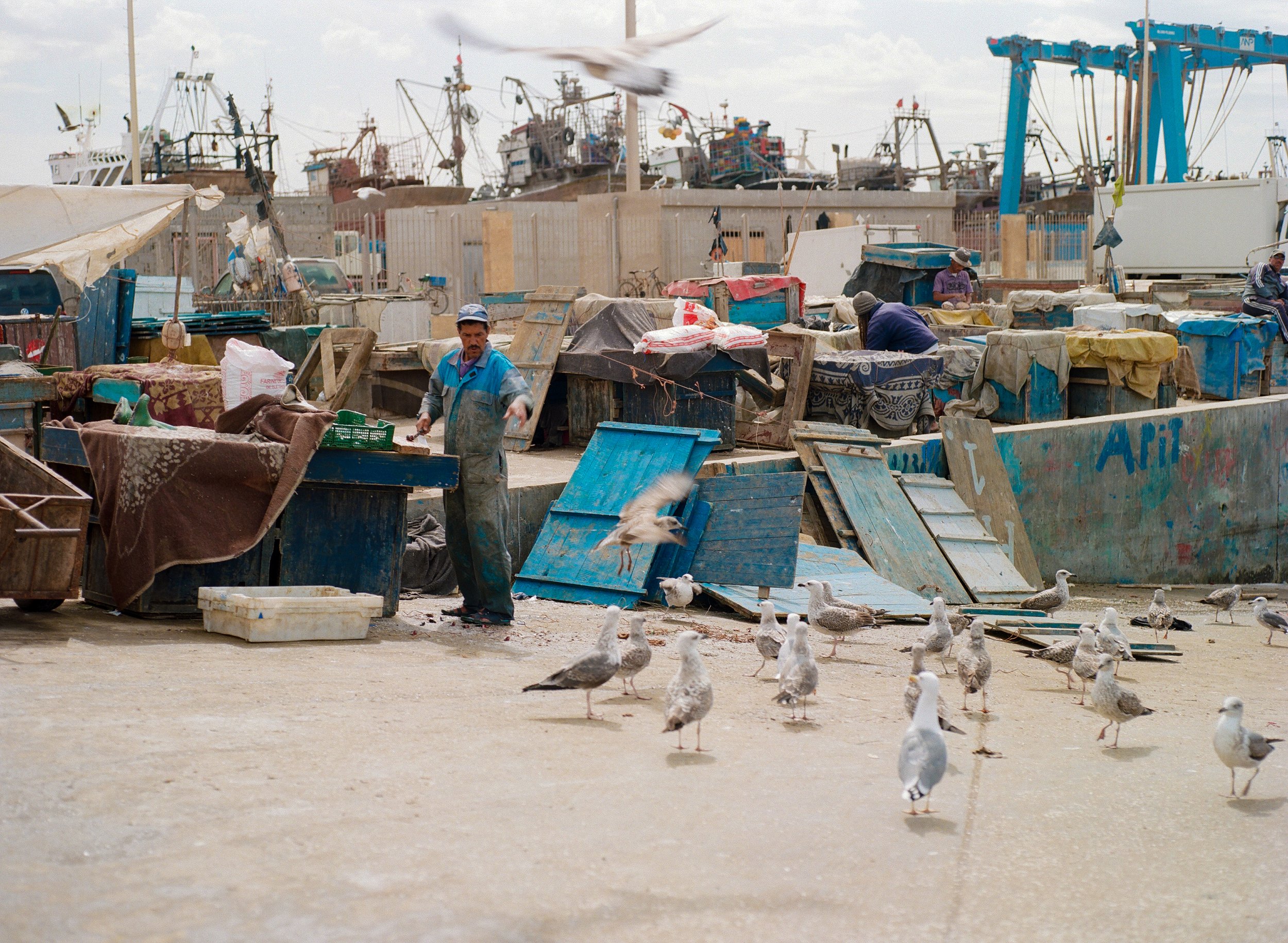 Sqala du Port d'Essaouira