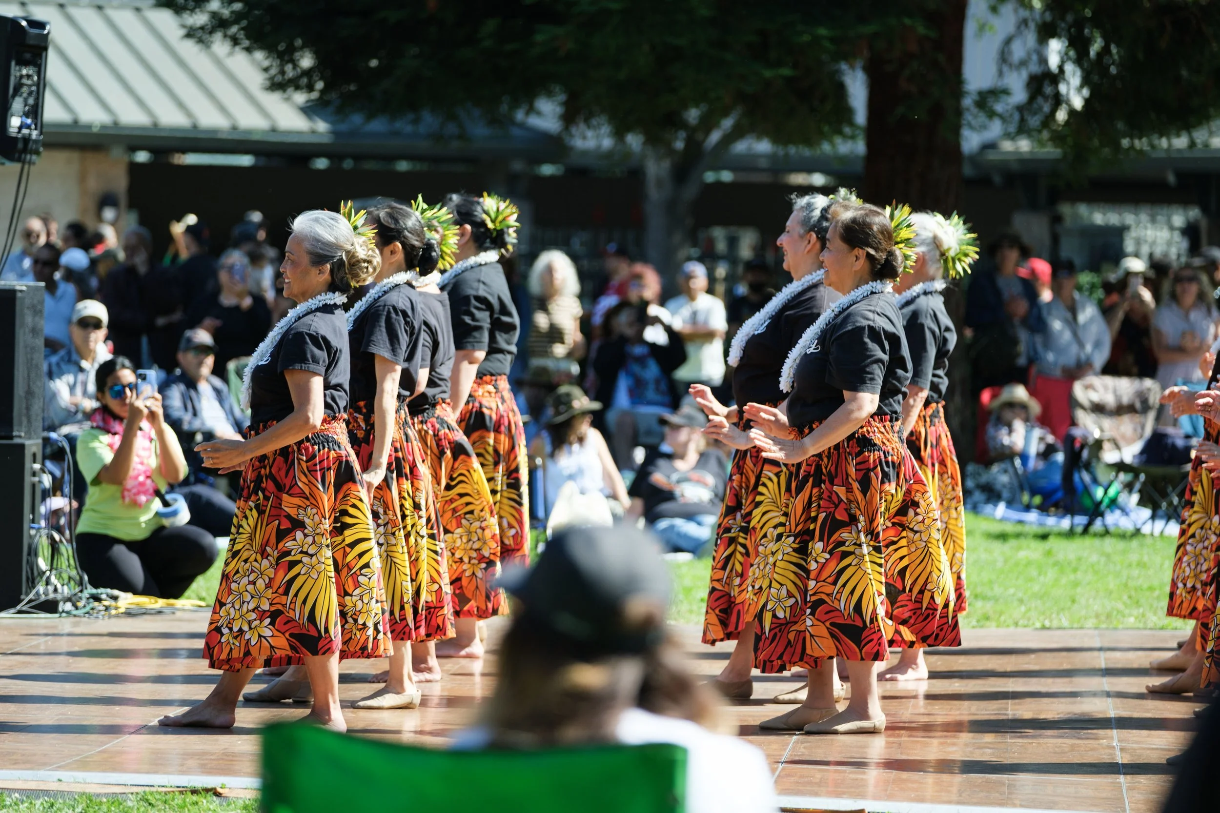 Concert in the Park_Keltos_1008.jpg
