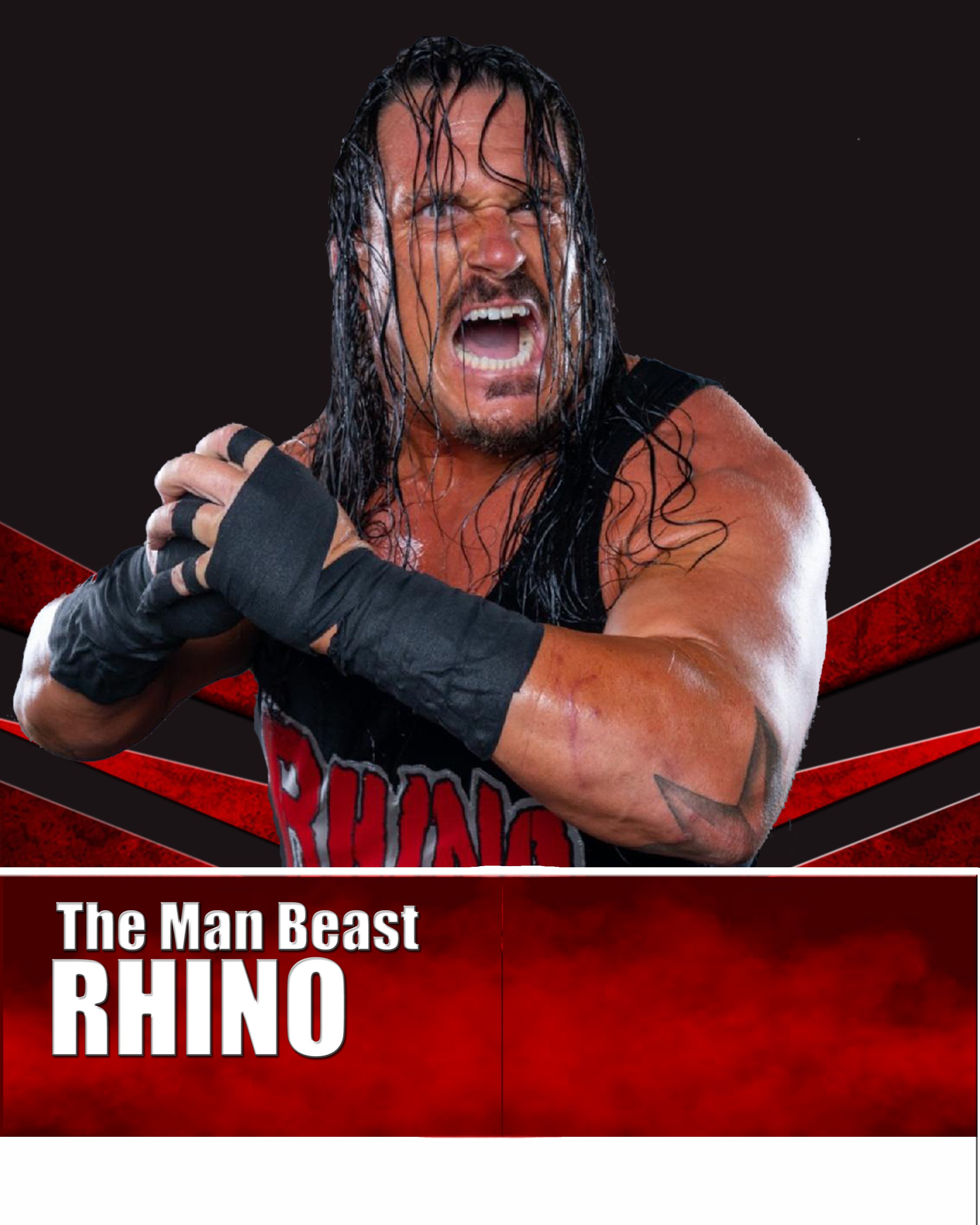 Rhino copy.jpg