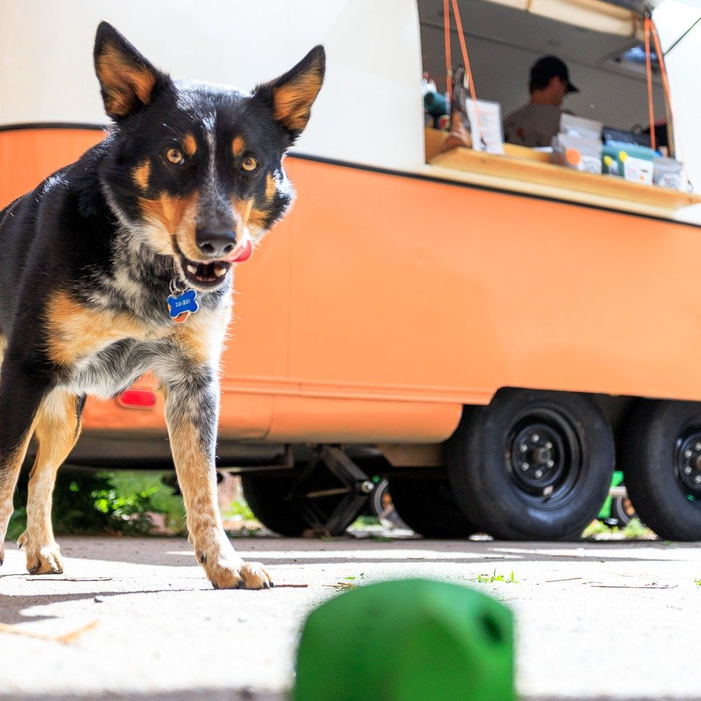When I have a few minutes between shoots, I like to try out local coffee places. I struck gold today when I found @nowherecoffee.co and met Glenn. You can't go wrong when your coffee (or tea) is made in an airstream and they have a dog for a co-worke