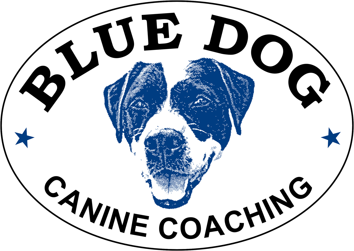 Blue Dog Canine Coaching