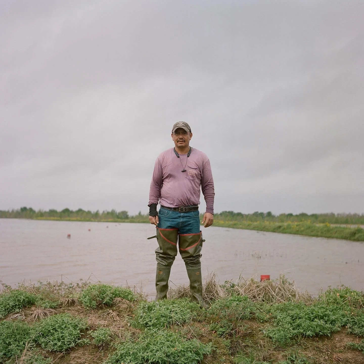  Image by Laura Hetzel 