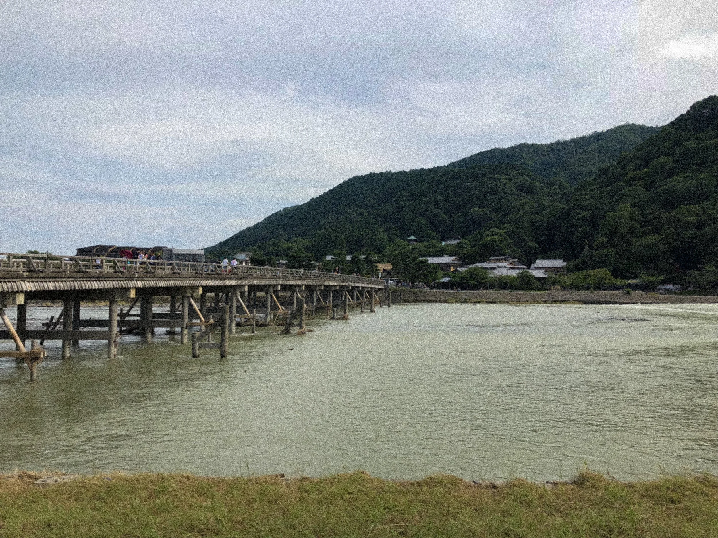 IMG_0419.JPG.jpg