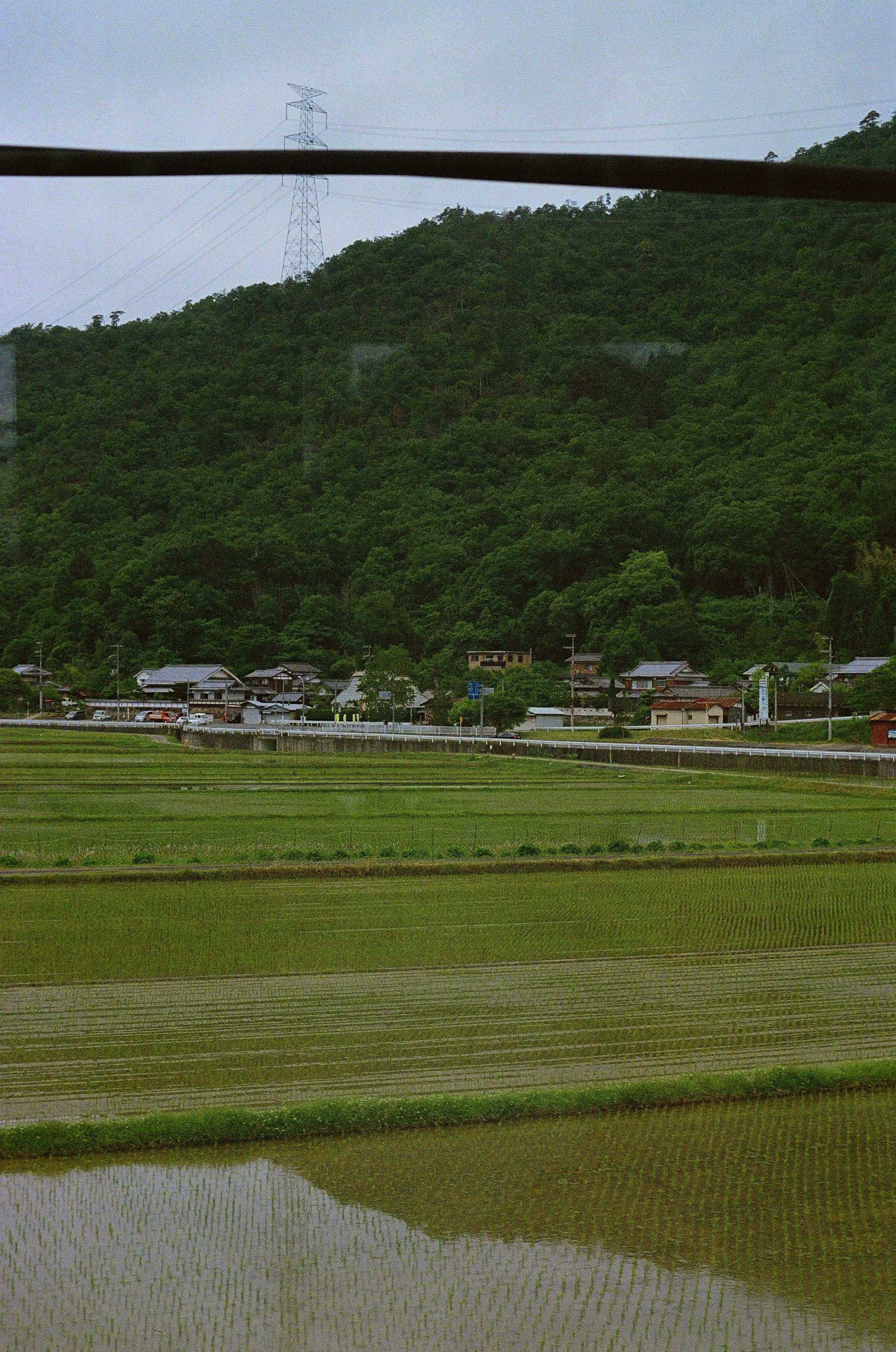 56540001.jpg