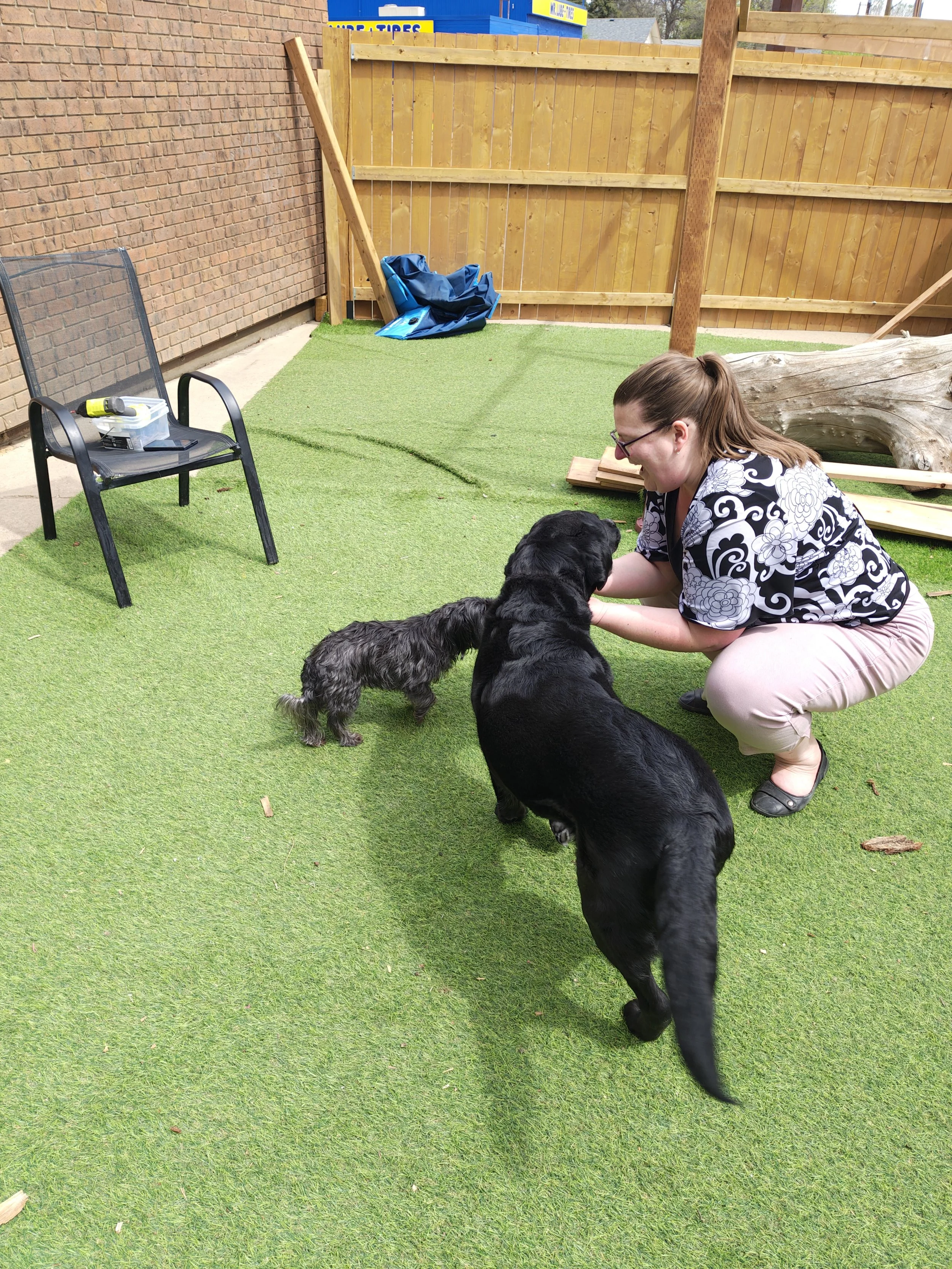 Dog Kennel near me