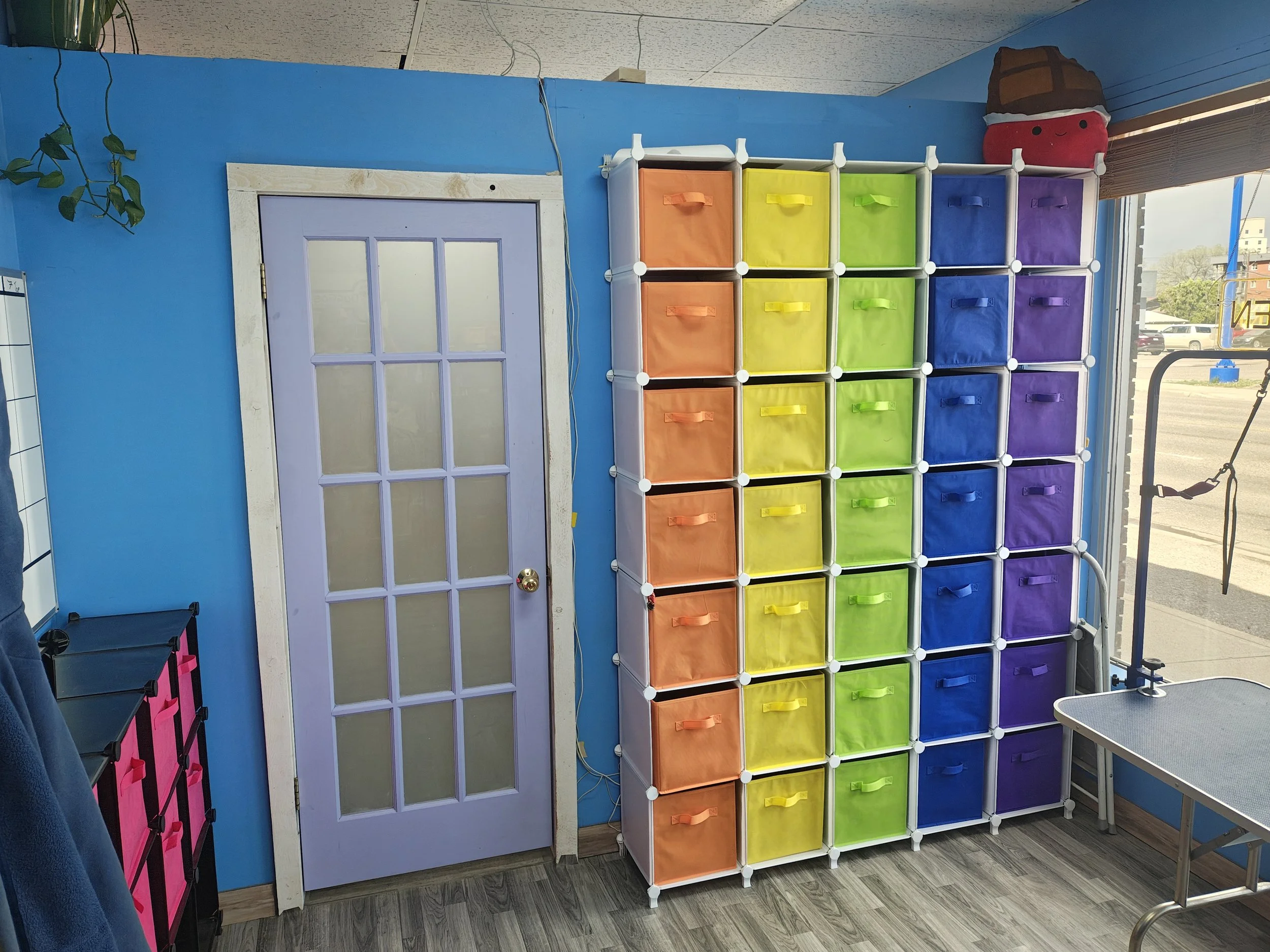 Dog Daycare Resort Medicine Hat