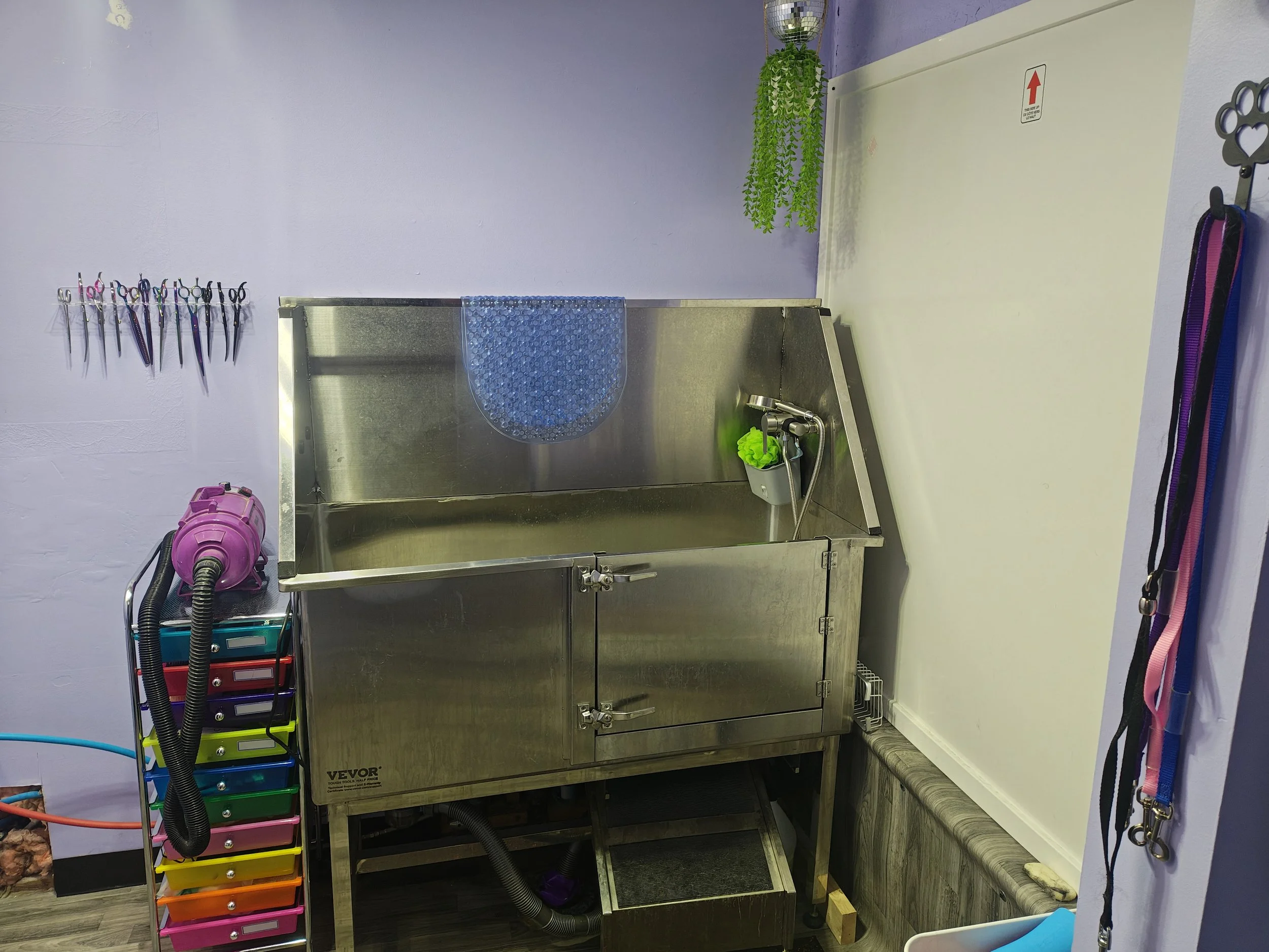 Dog Grooming Medicine Hat