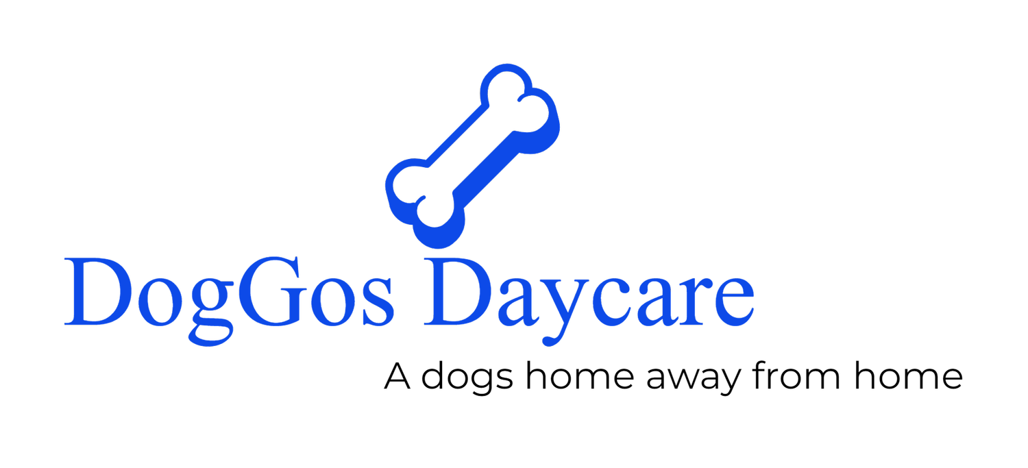 DogGos Daycare