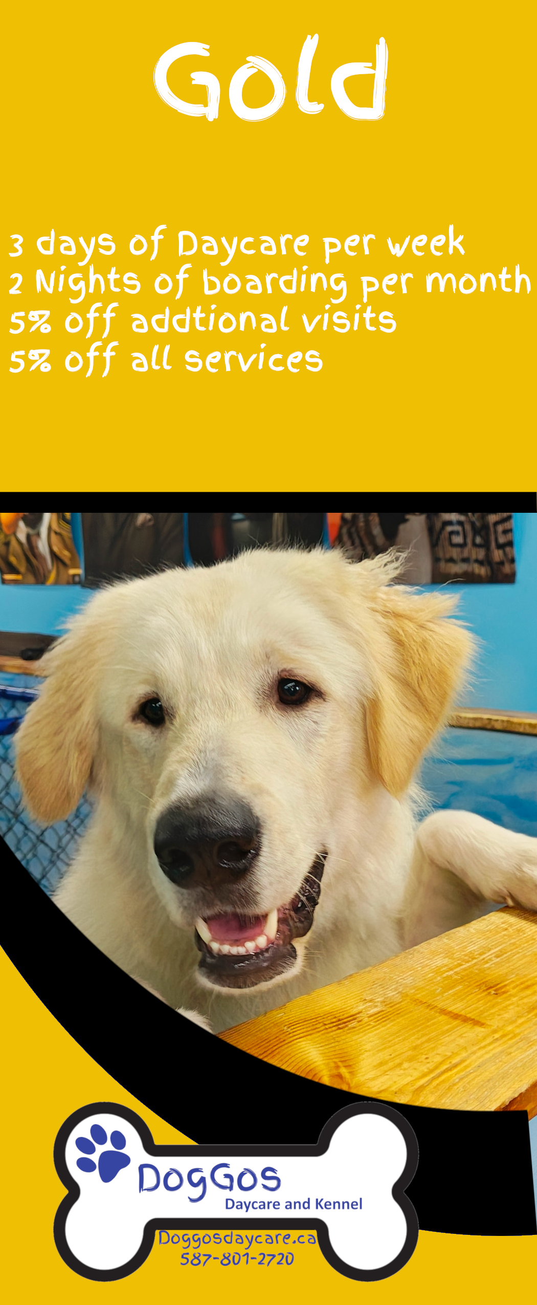 Dog daycare Med hat