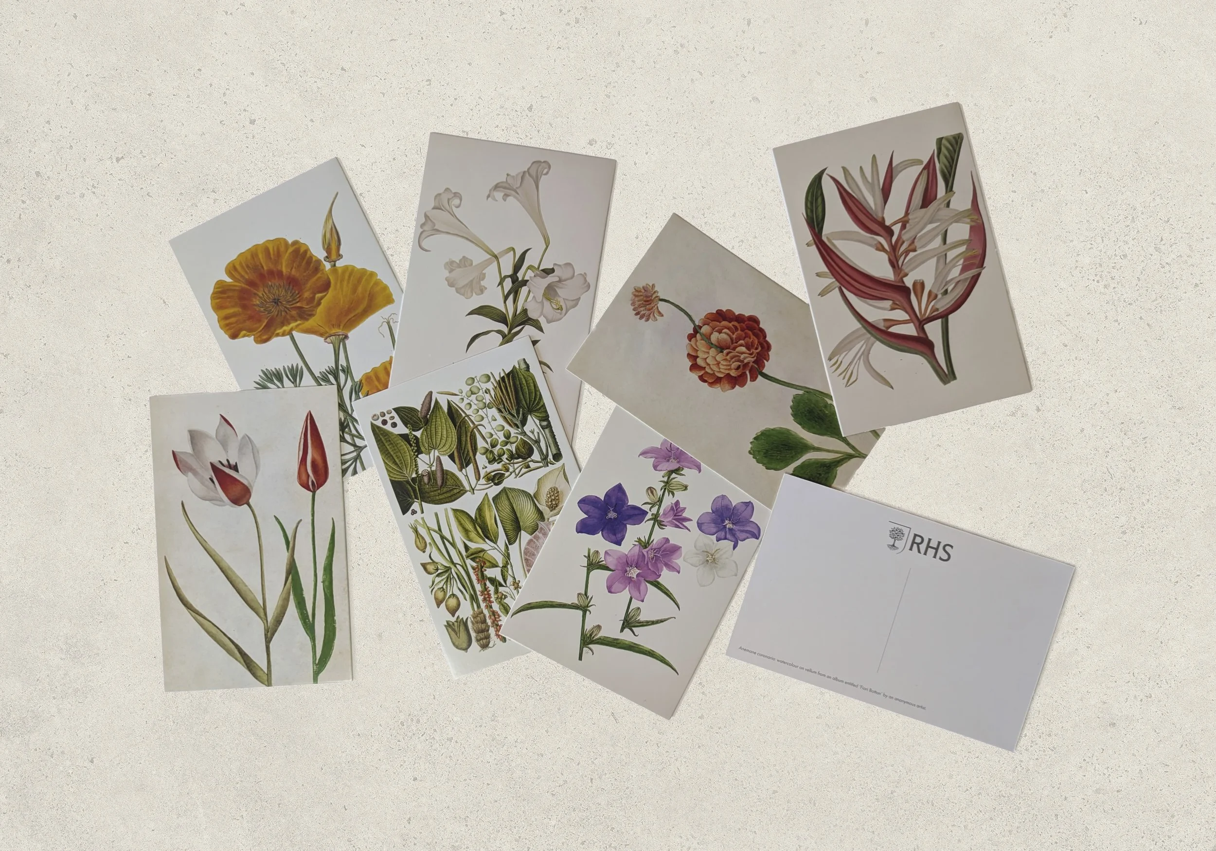 RHS 100 Flowers MOCK UP02.jpg