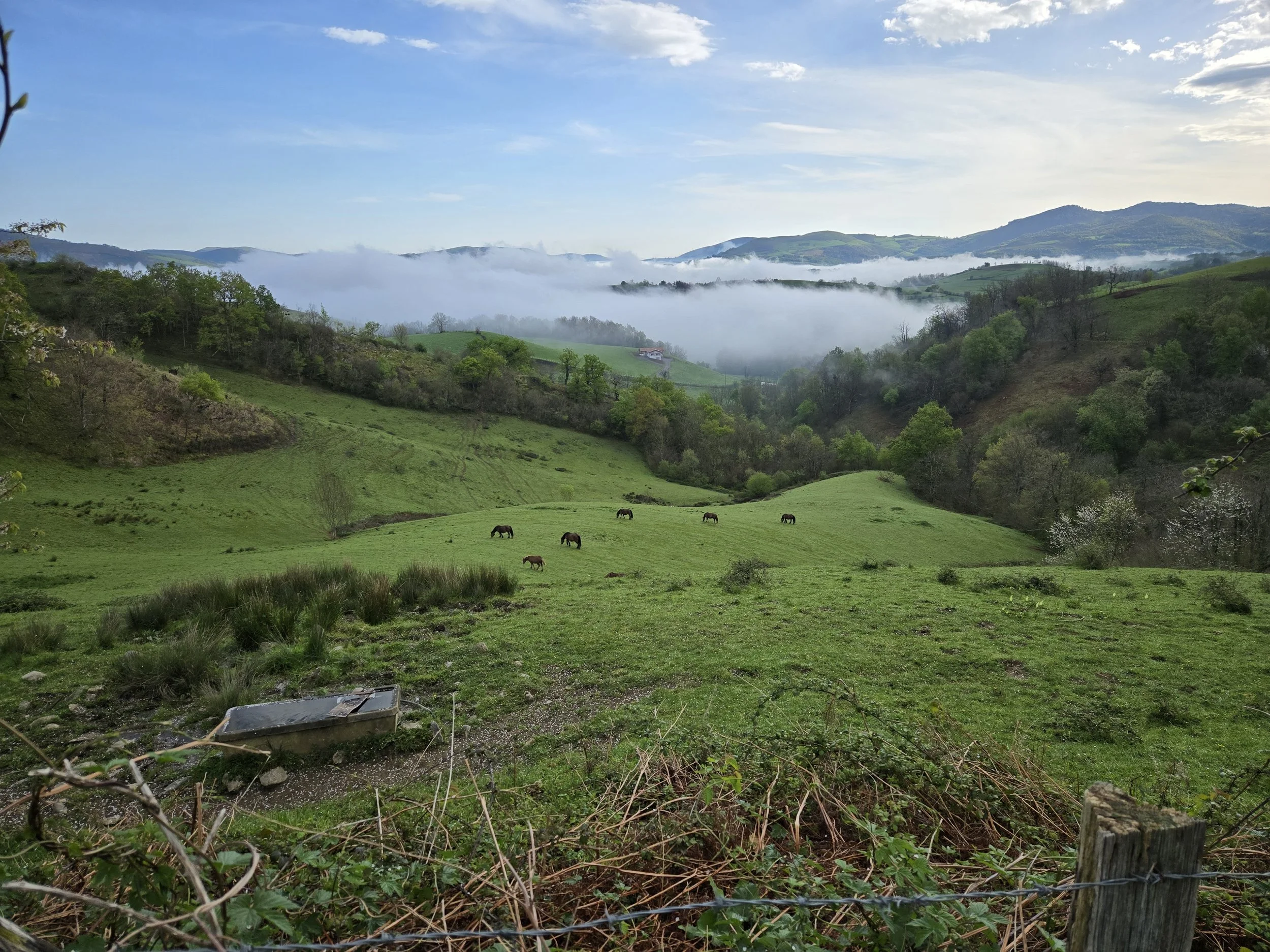 Thoughts from my Camino Frances Journey- Day 2