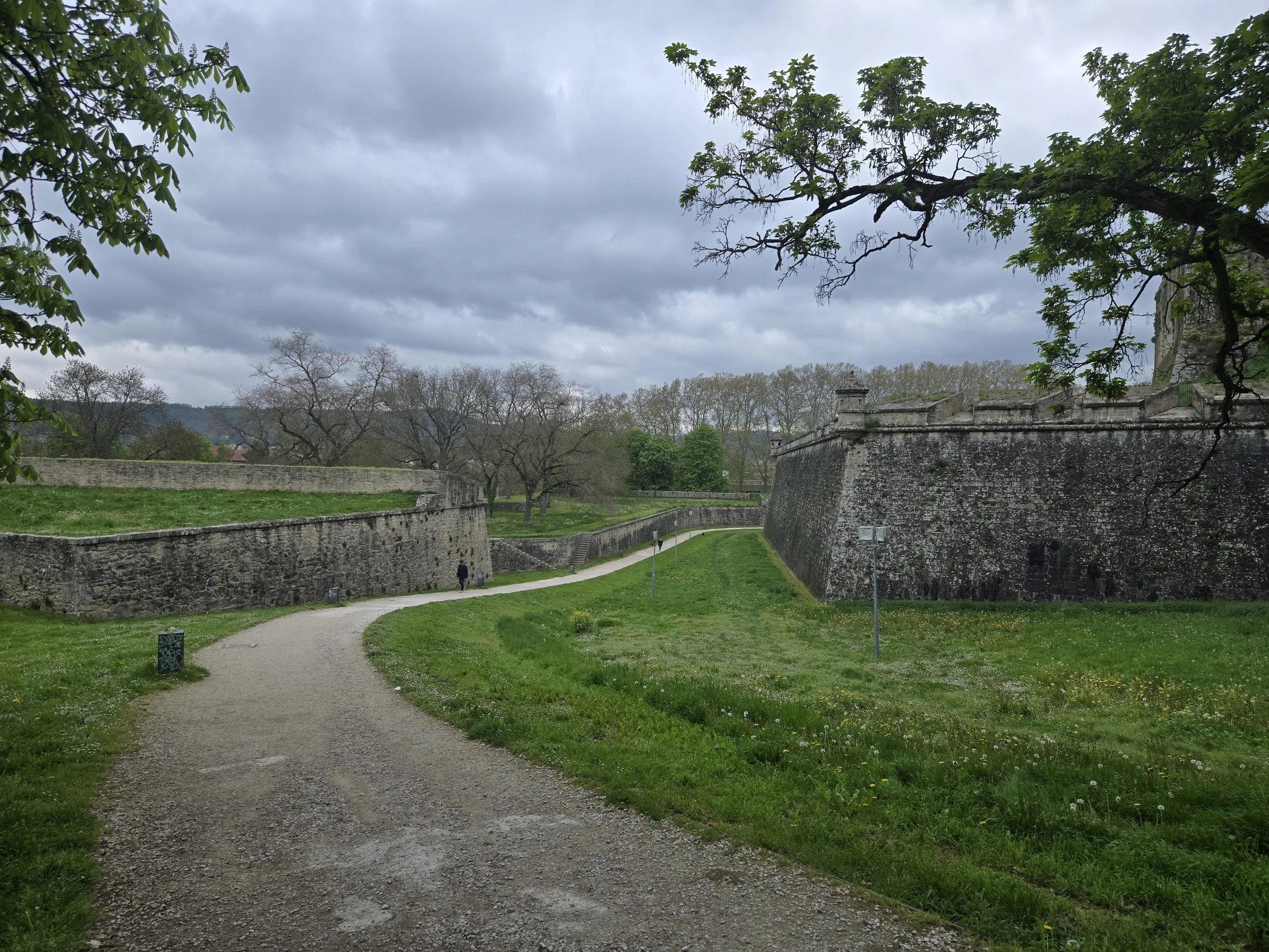 Thoughts from my Camino Frances Journey- Day 5