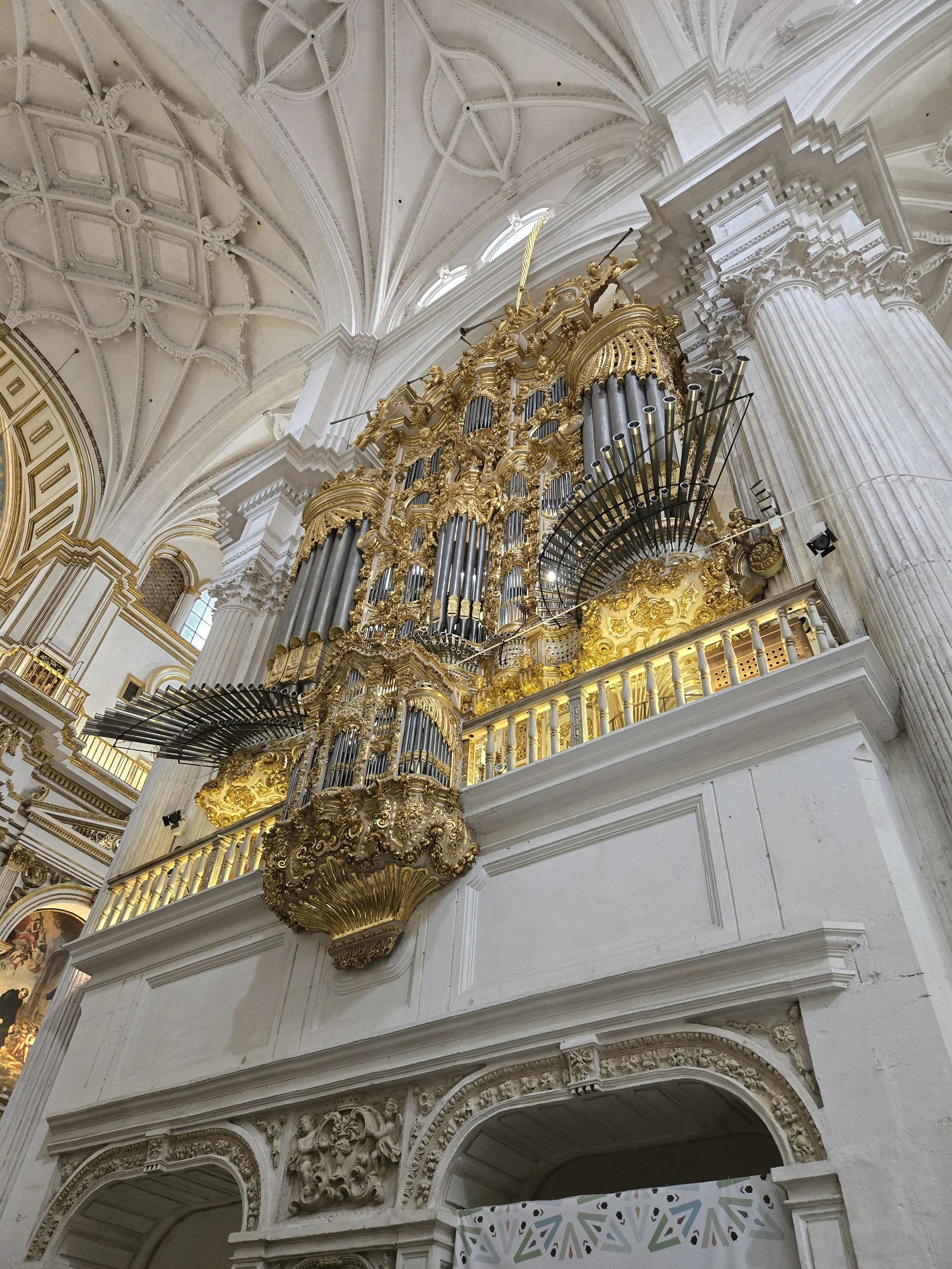 20250617_170529.jpg