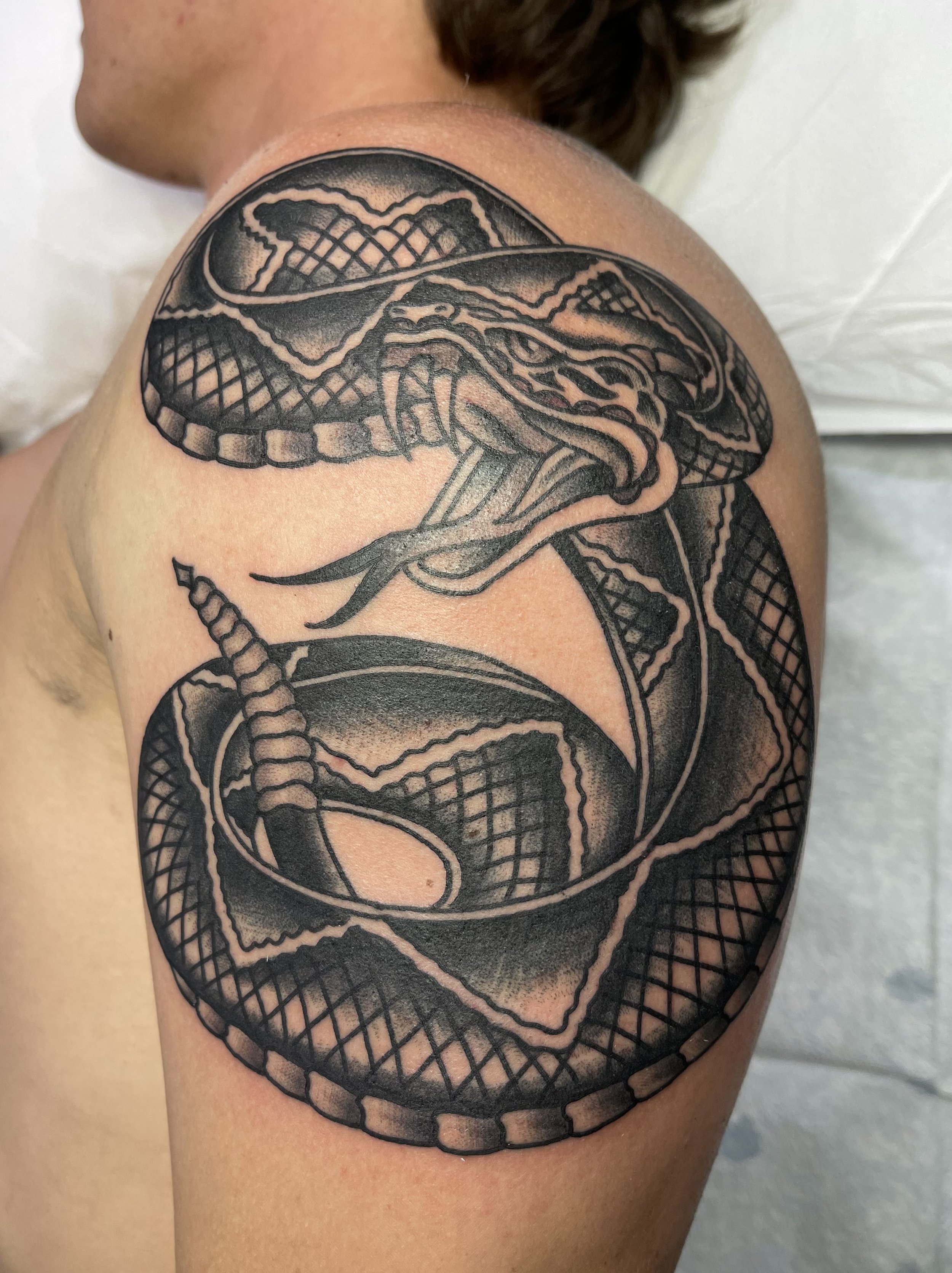 Cory (rattlesnake).jpeg