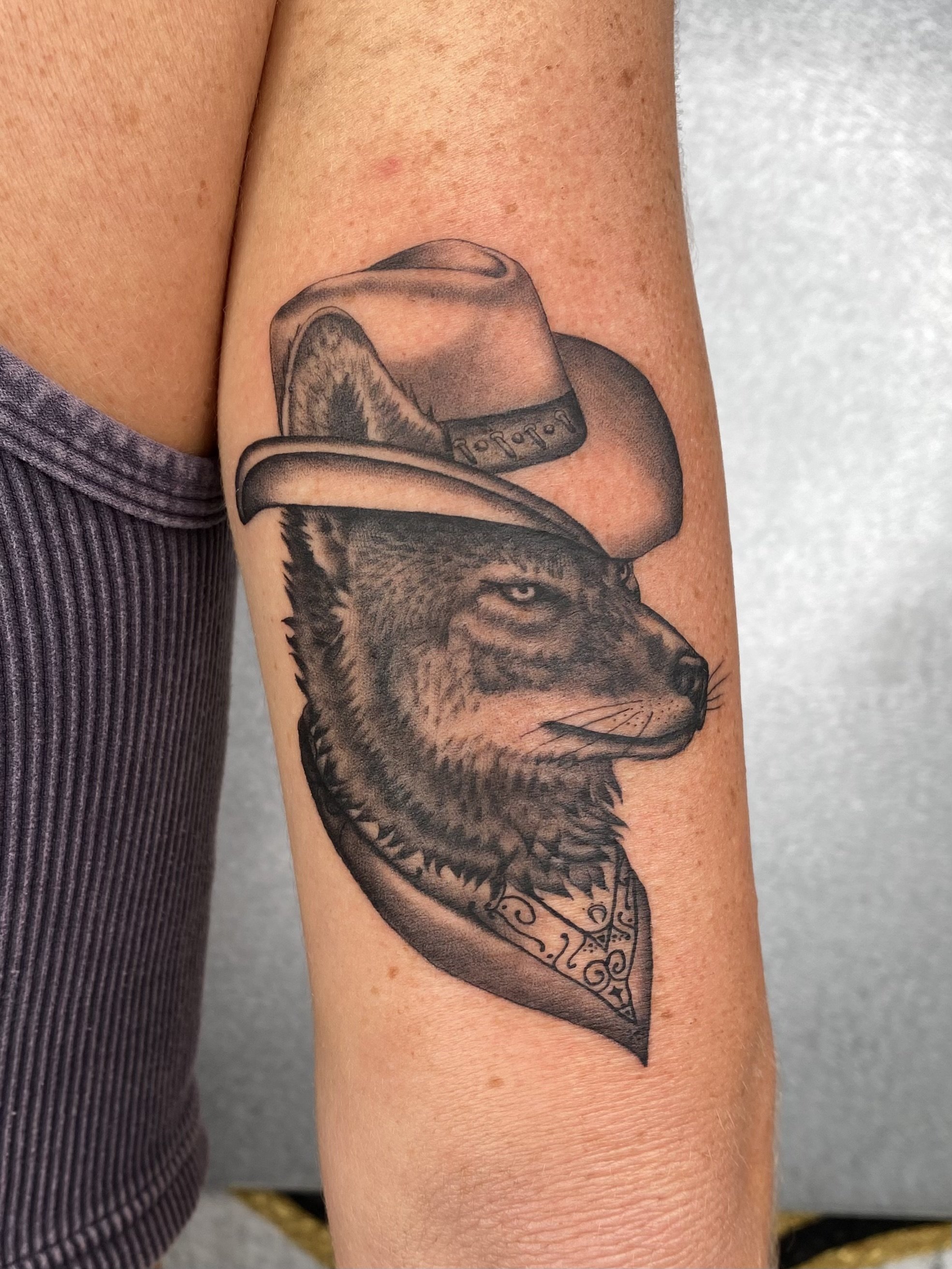 Sasha (country wolf).jpeg