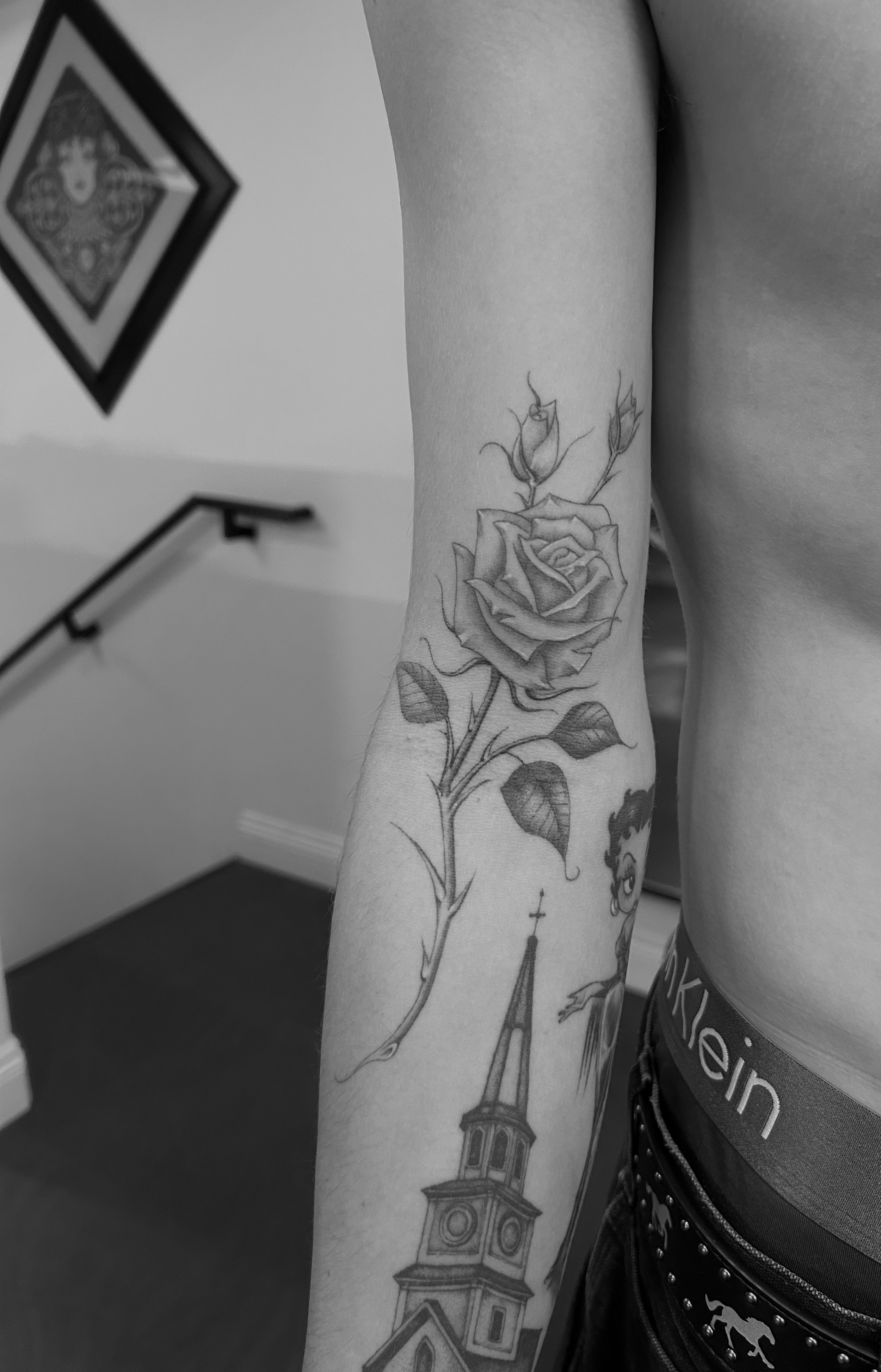 Chase (rose).jpeg