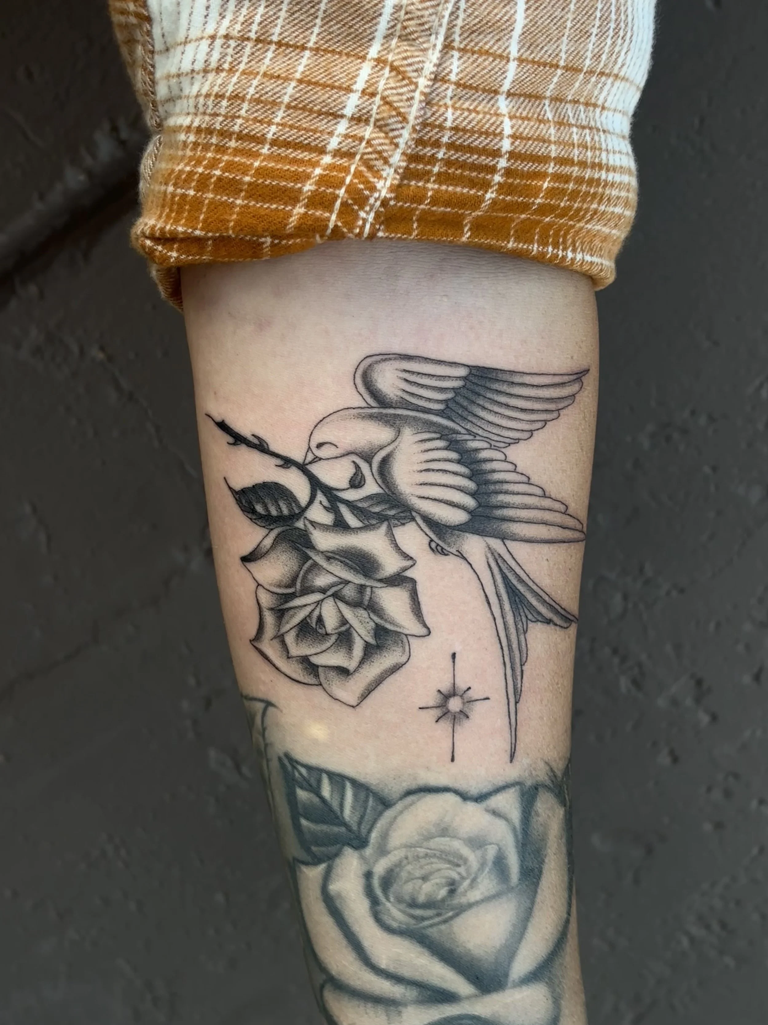 Photo Sep 28 2025, 5 42 01 PM.jpg