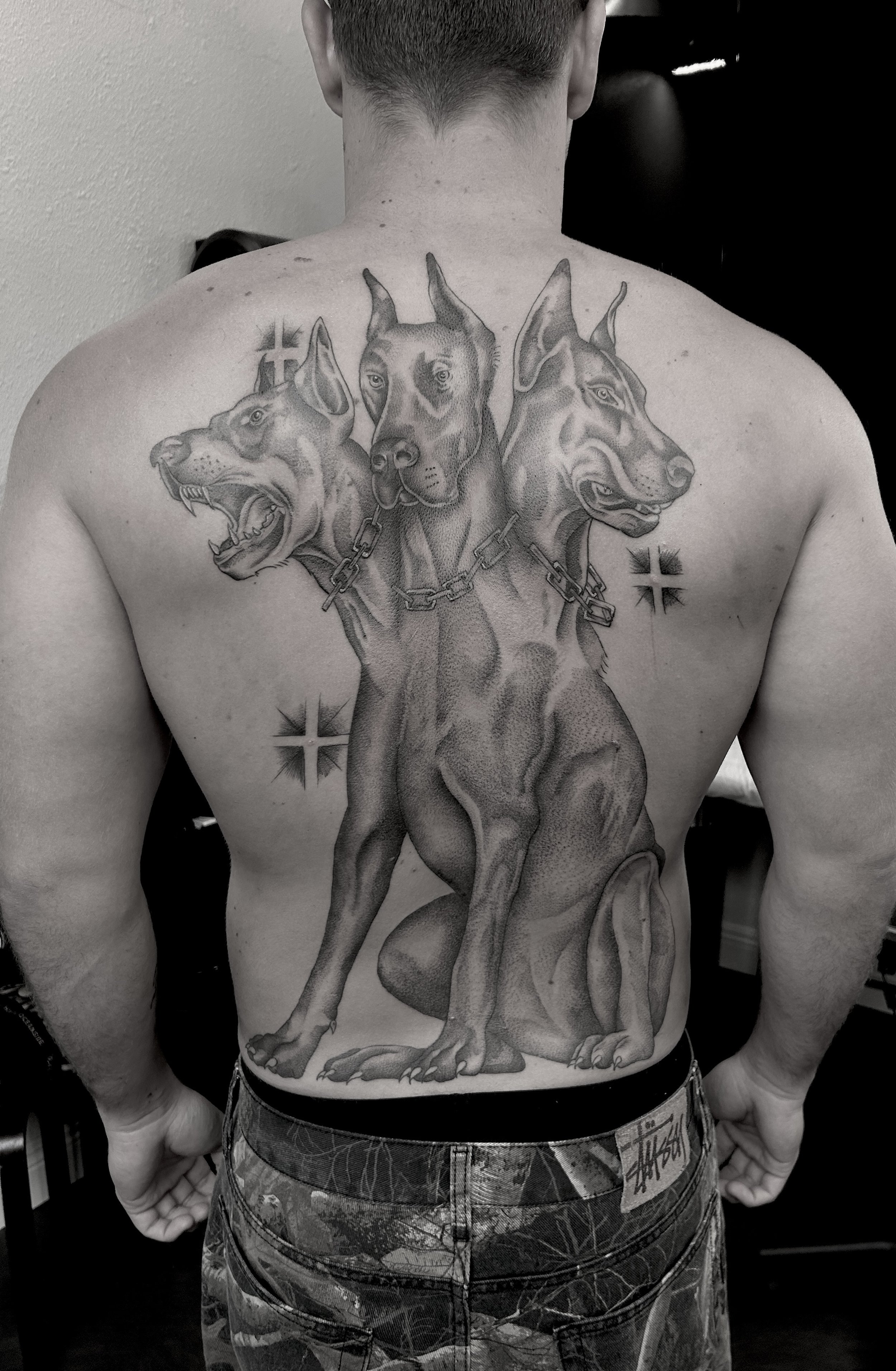 Chase (cerberus).jpeg