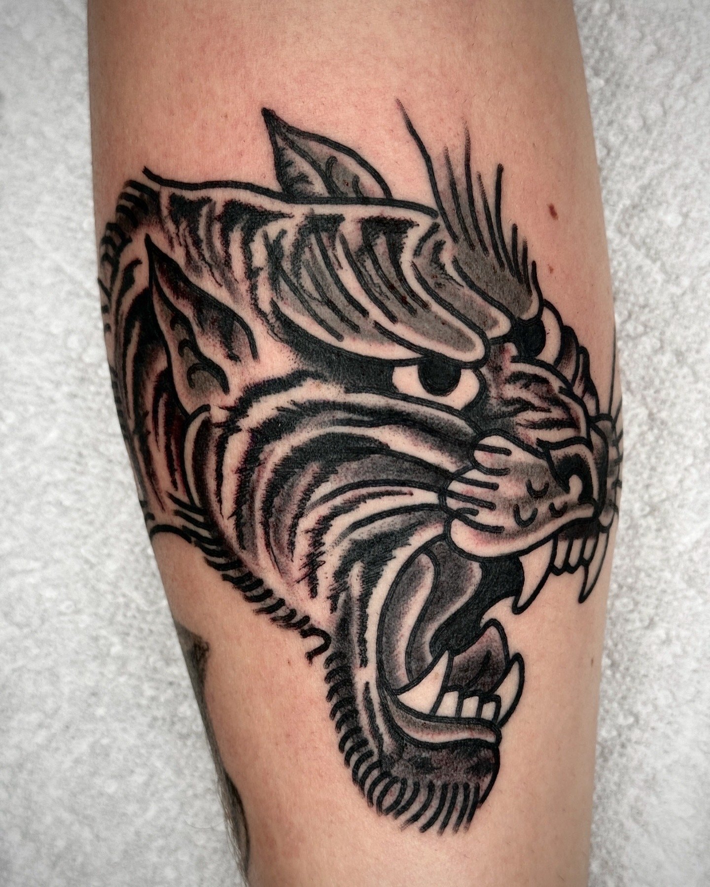 Damiani (tiger head).jpeg
